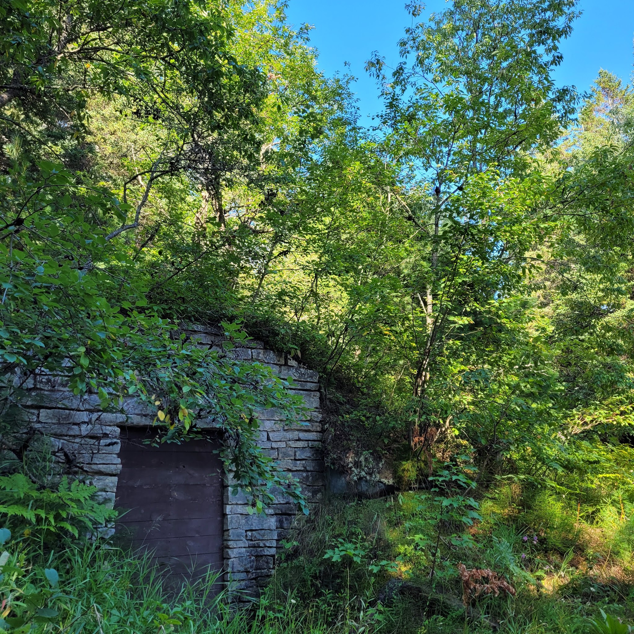East Branch Of Fox River State Forest Campground