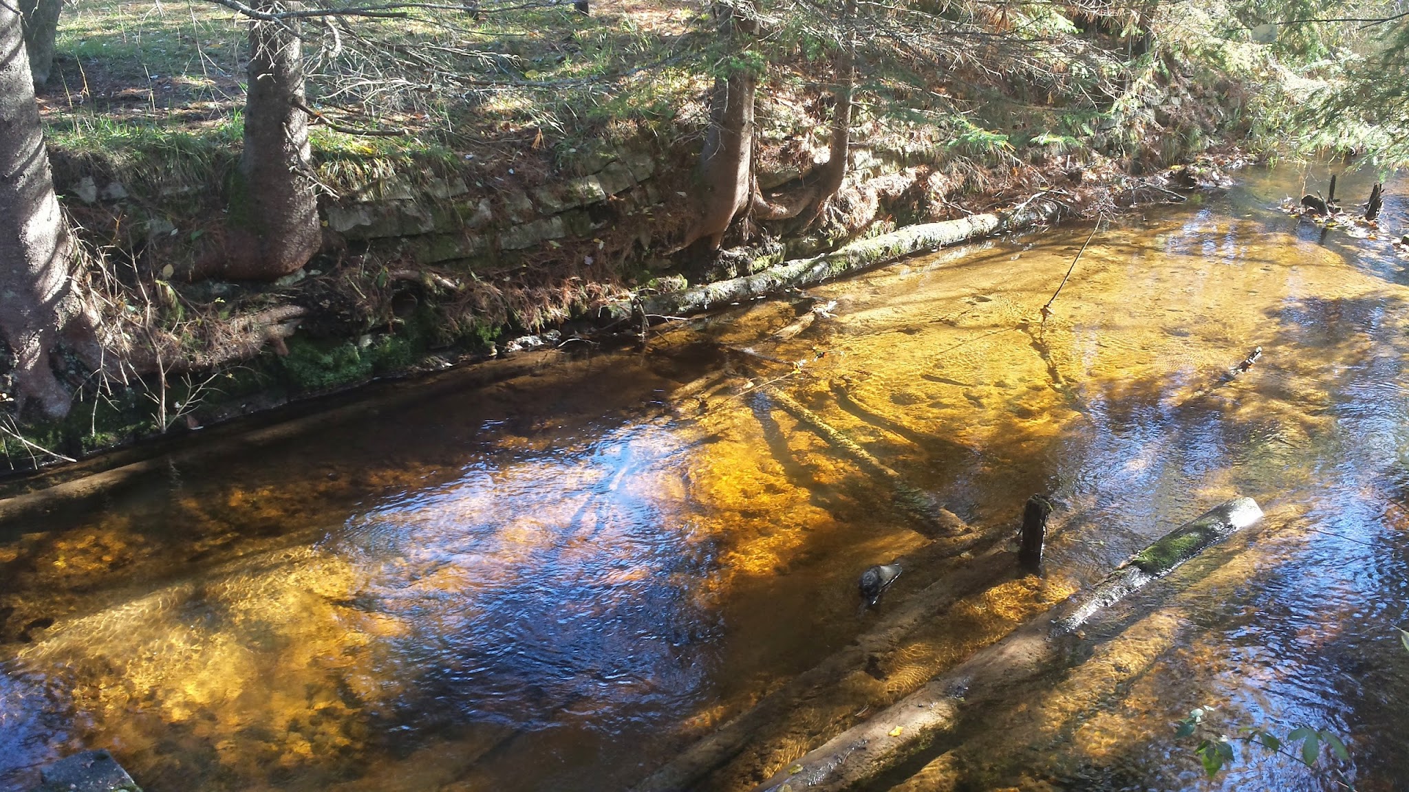 East Branch Of Fox River State Forest Campground