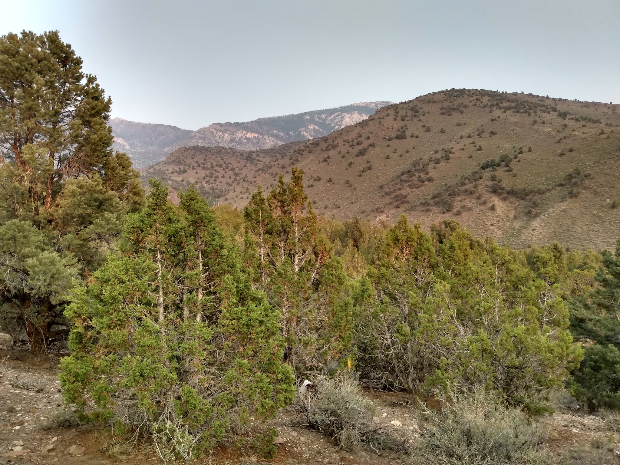 East Creek Campground