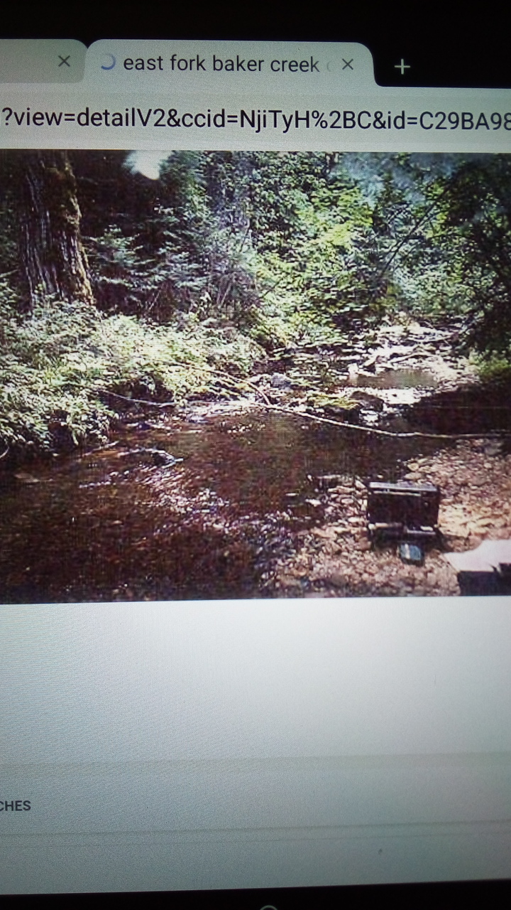 East Fork Baker Creek Campground