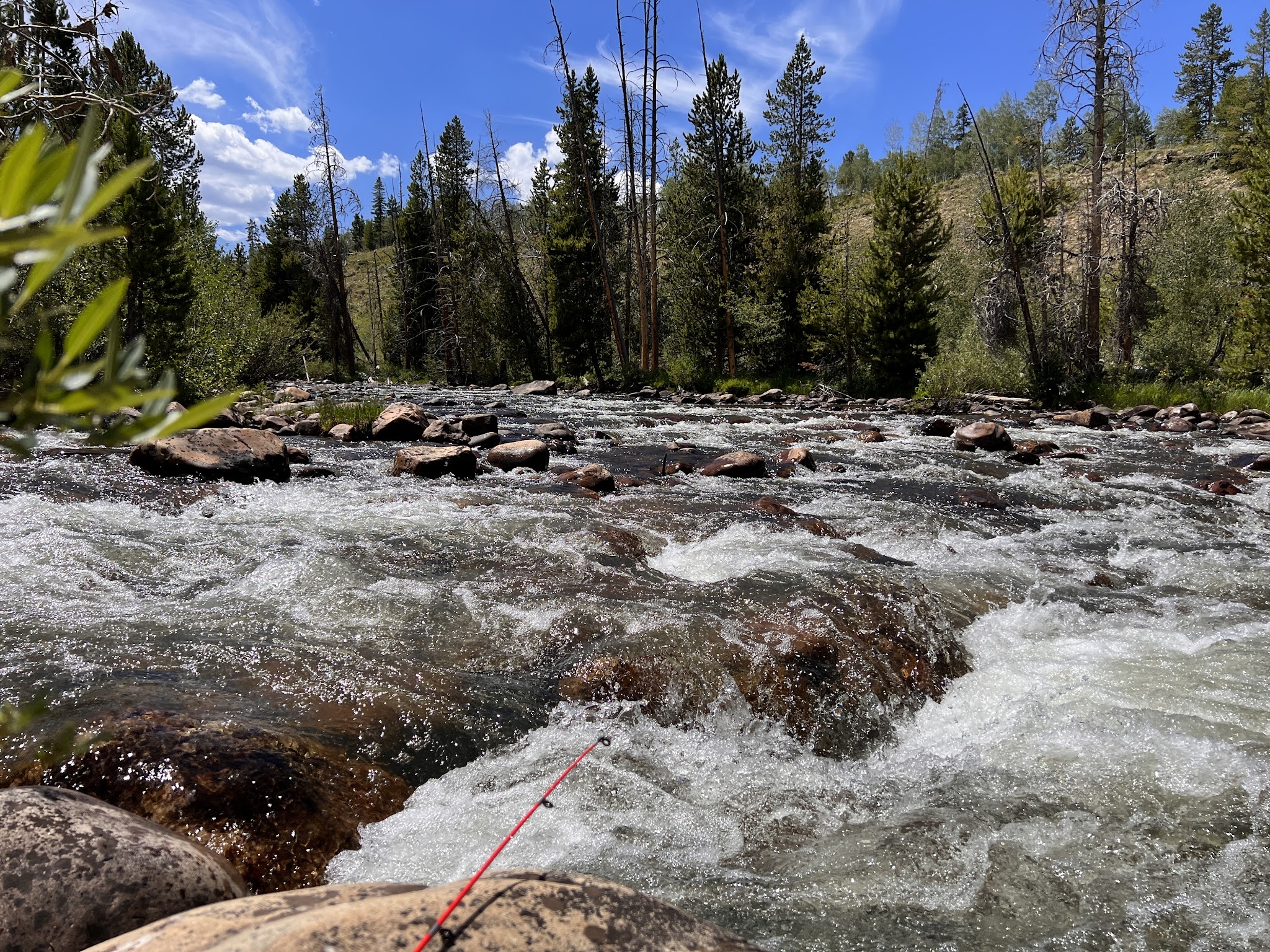 East Fork Bear River Campground (Uinta-Wasatch-Cache National Forest, Ut)