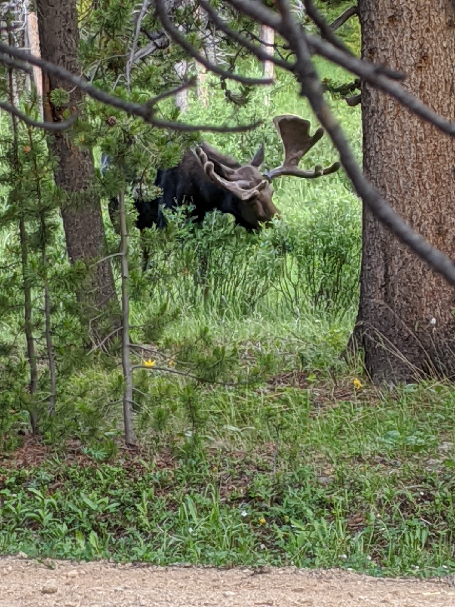 East Fork Campground