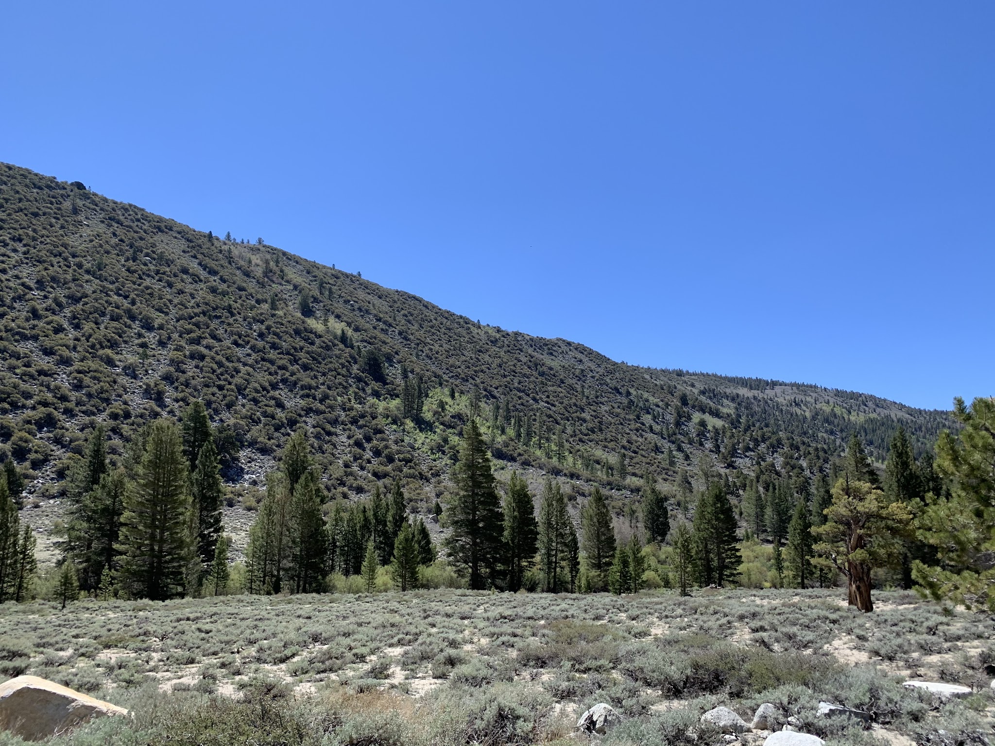 East Fork Campground