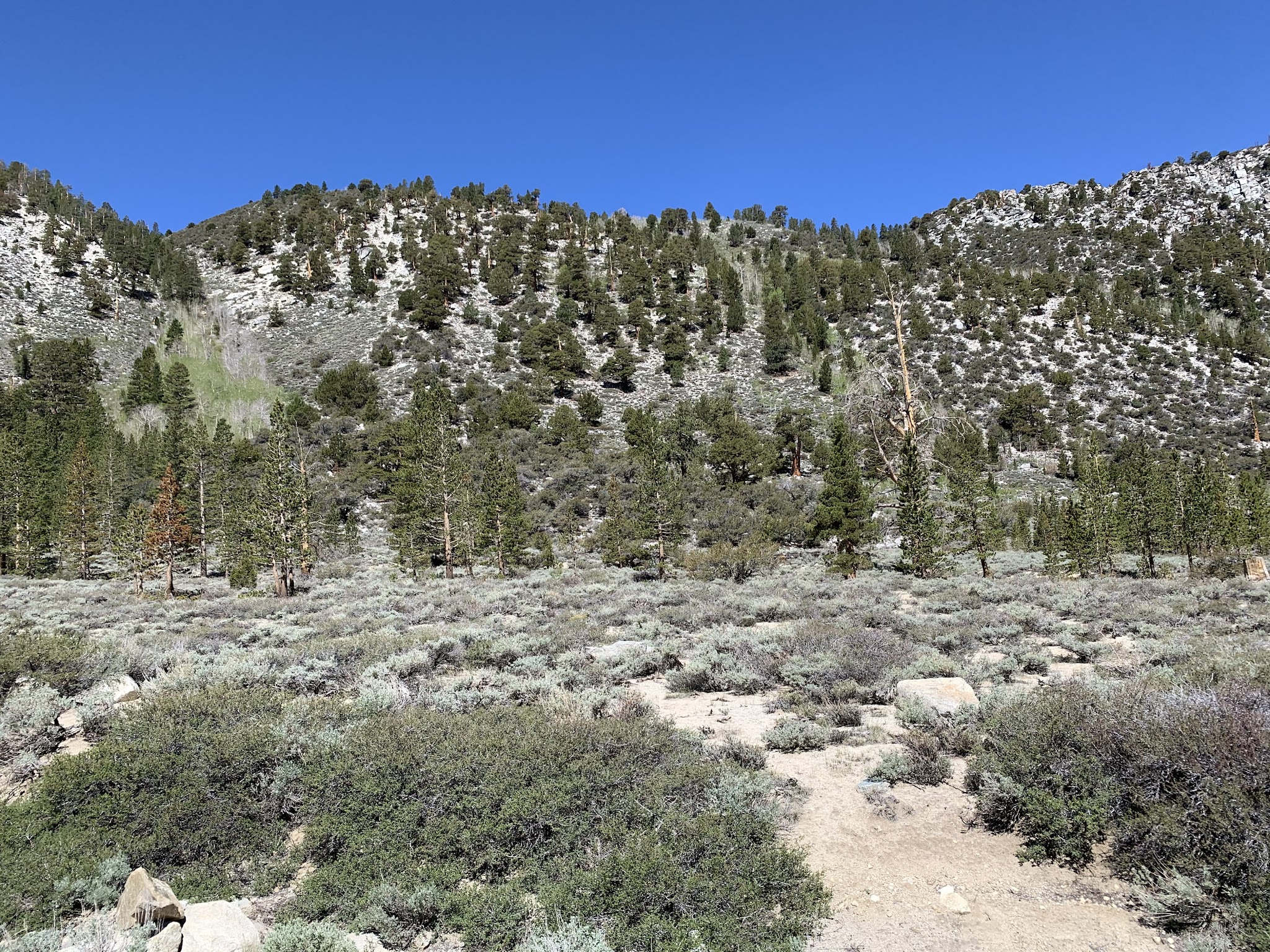 East Fork Campground