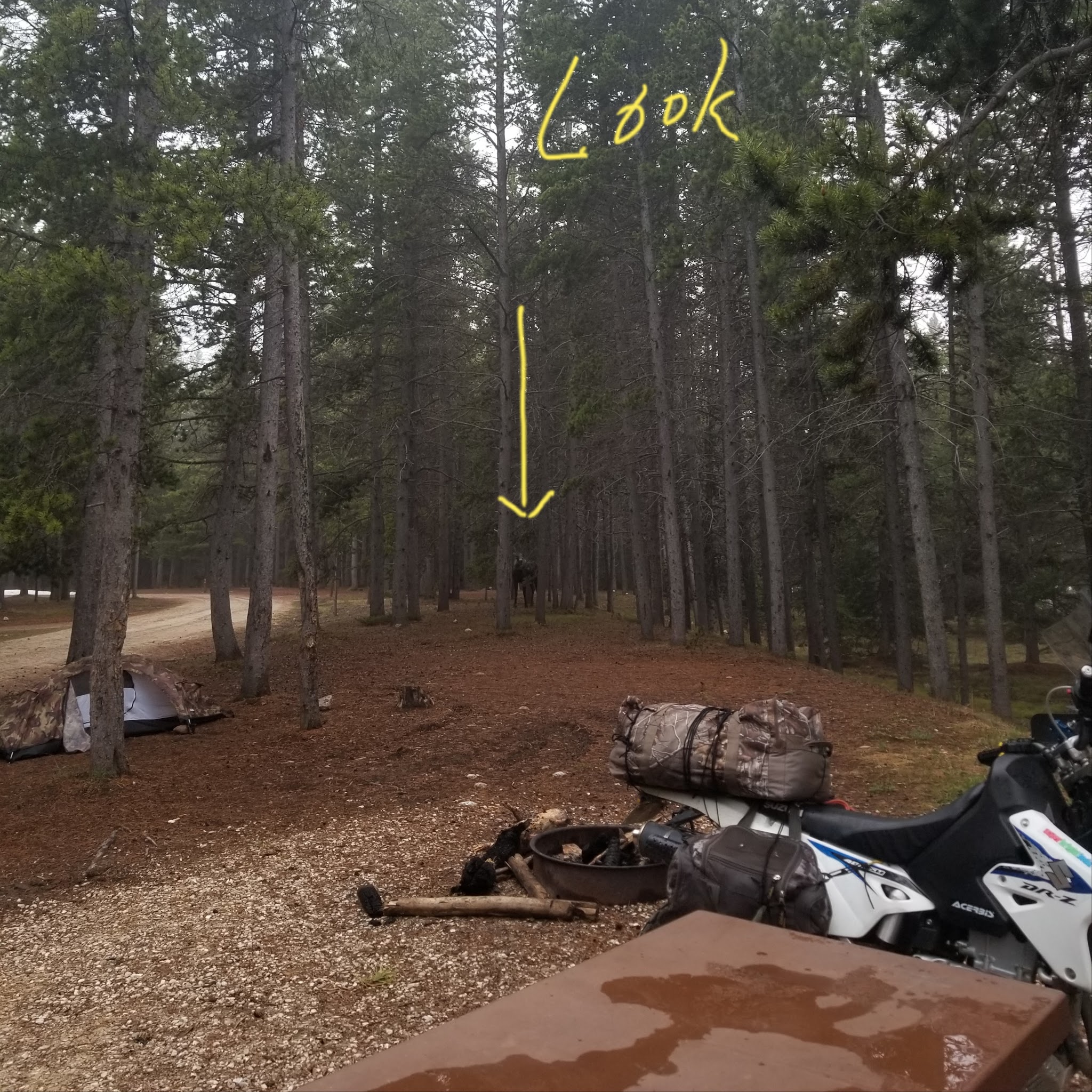 East Fork Campground