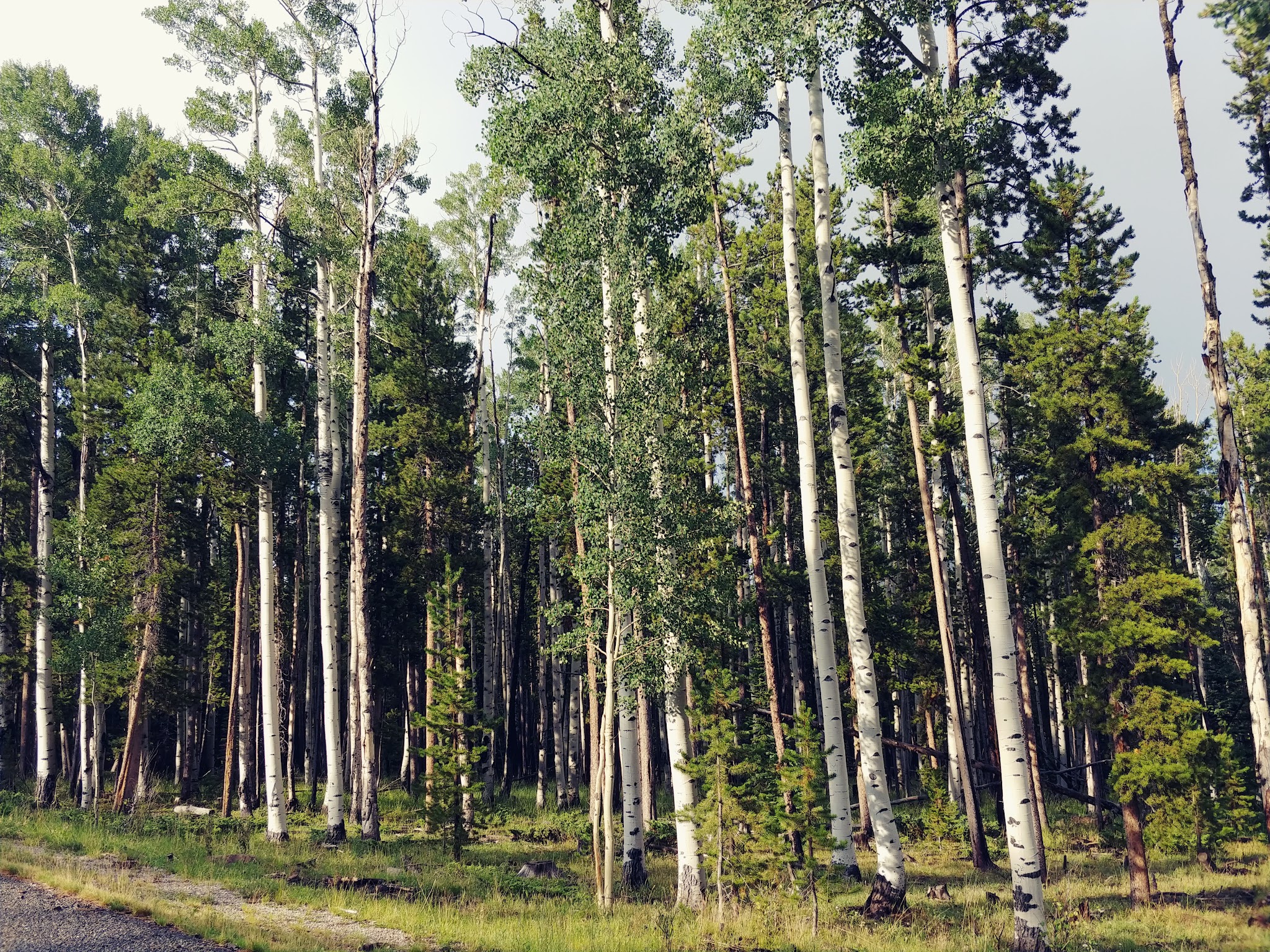 East Park Campground