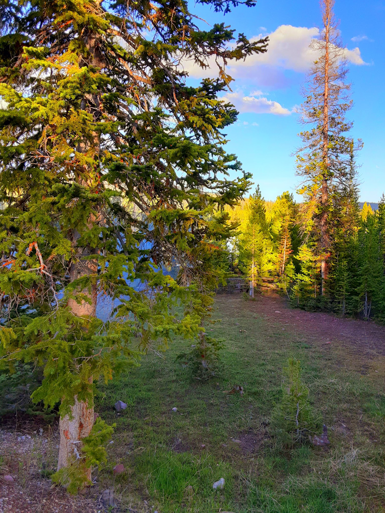 East Park Campground