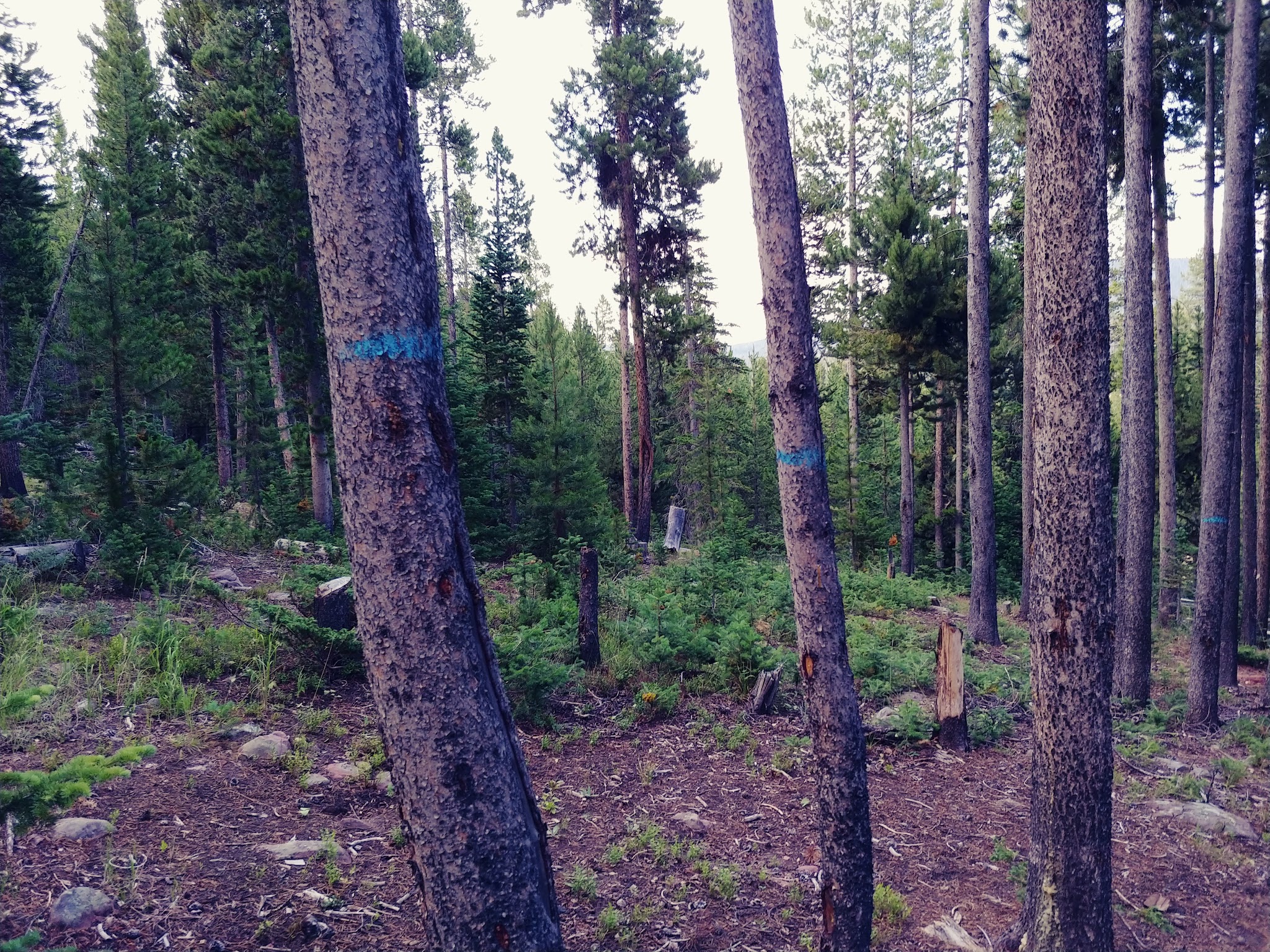 East Park Campground