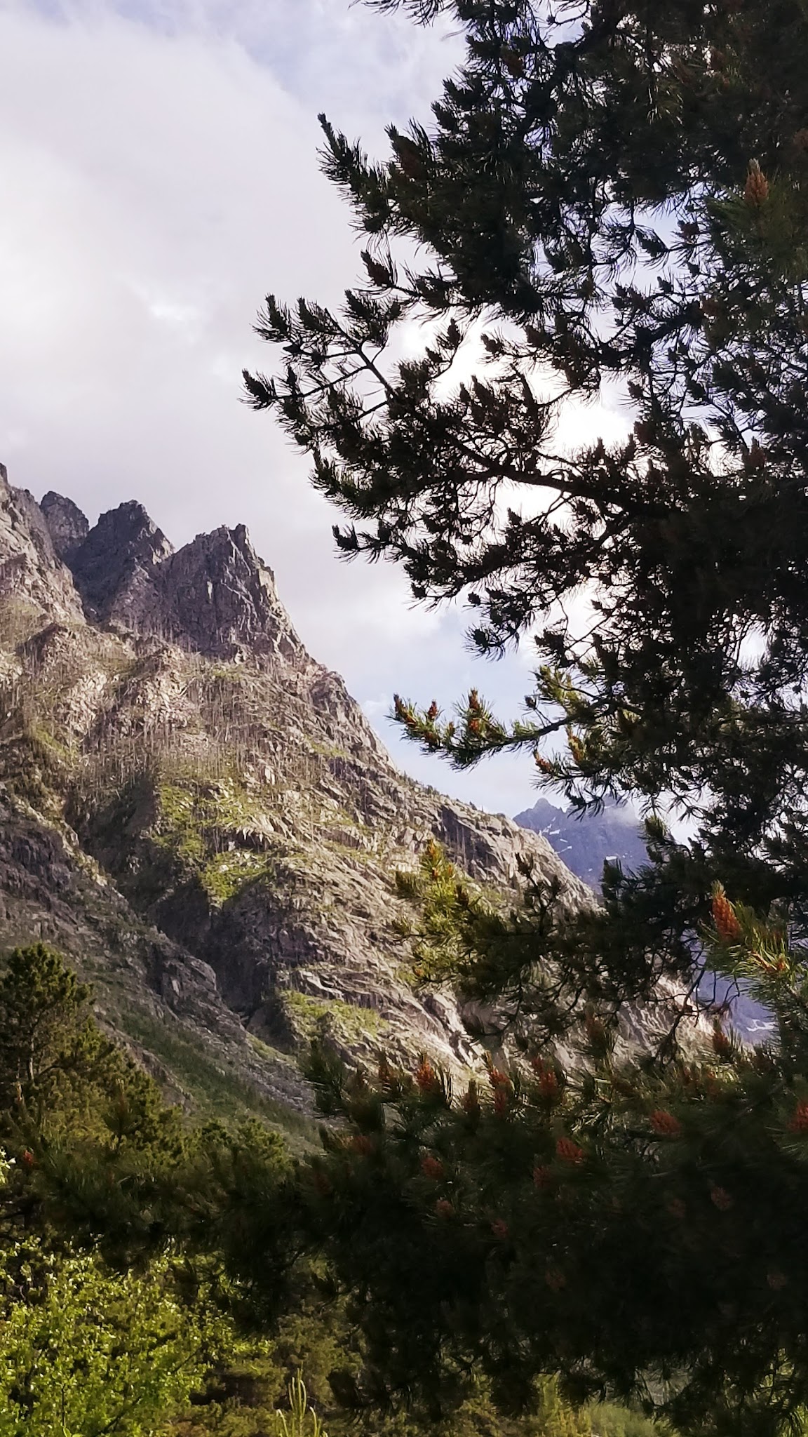 East Rosebud Campground