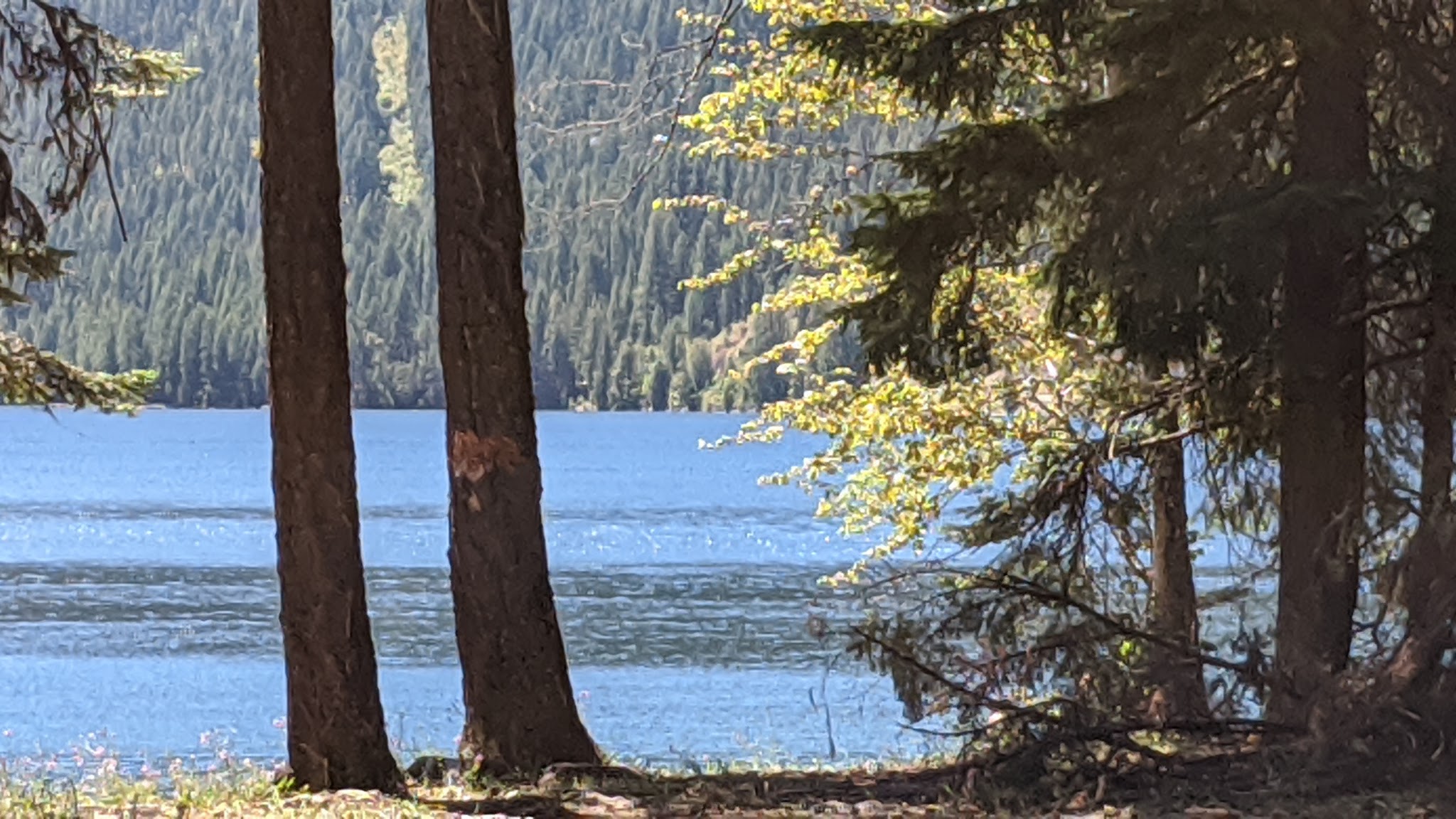 East Sullivan Campground