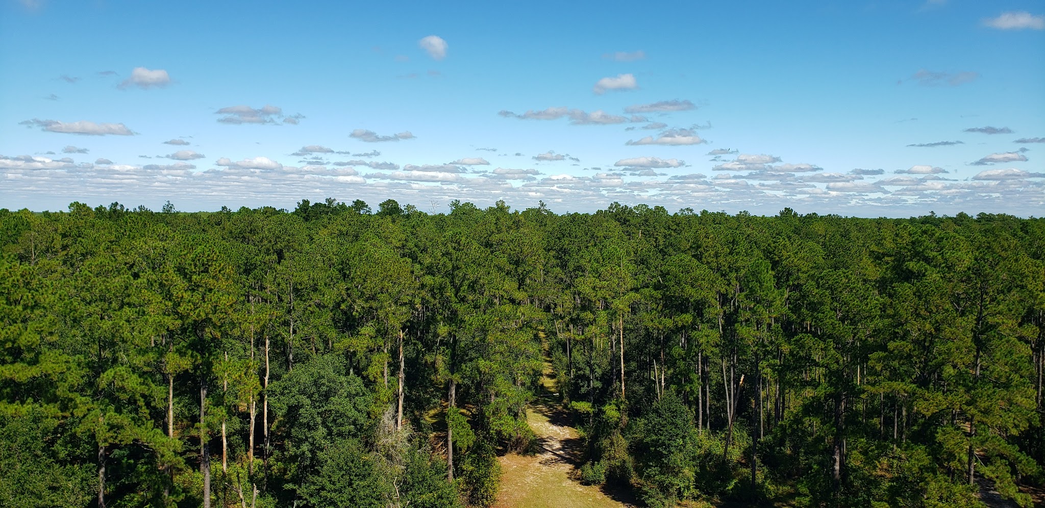 East Tower Hunt Camp