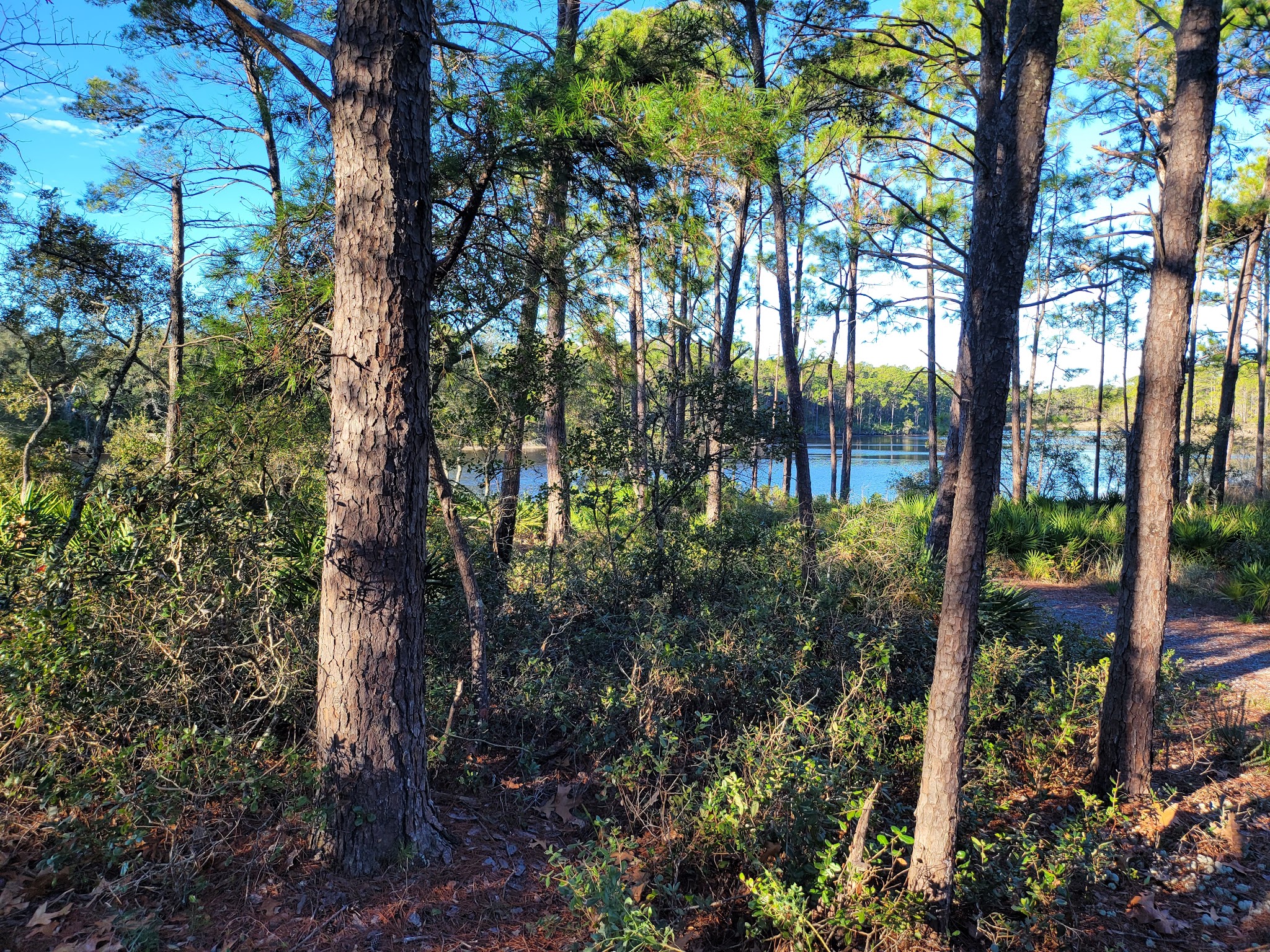 Eastern Lake Campground 2
