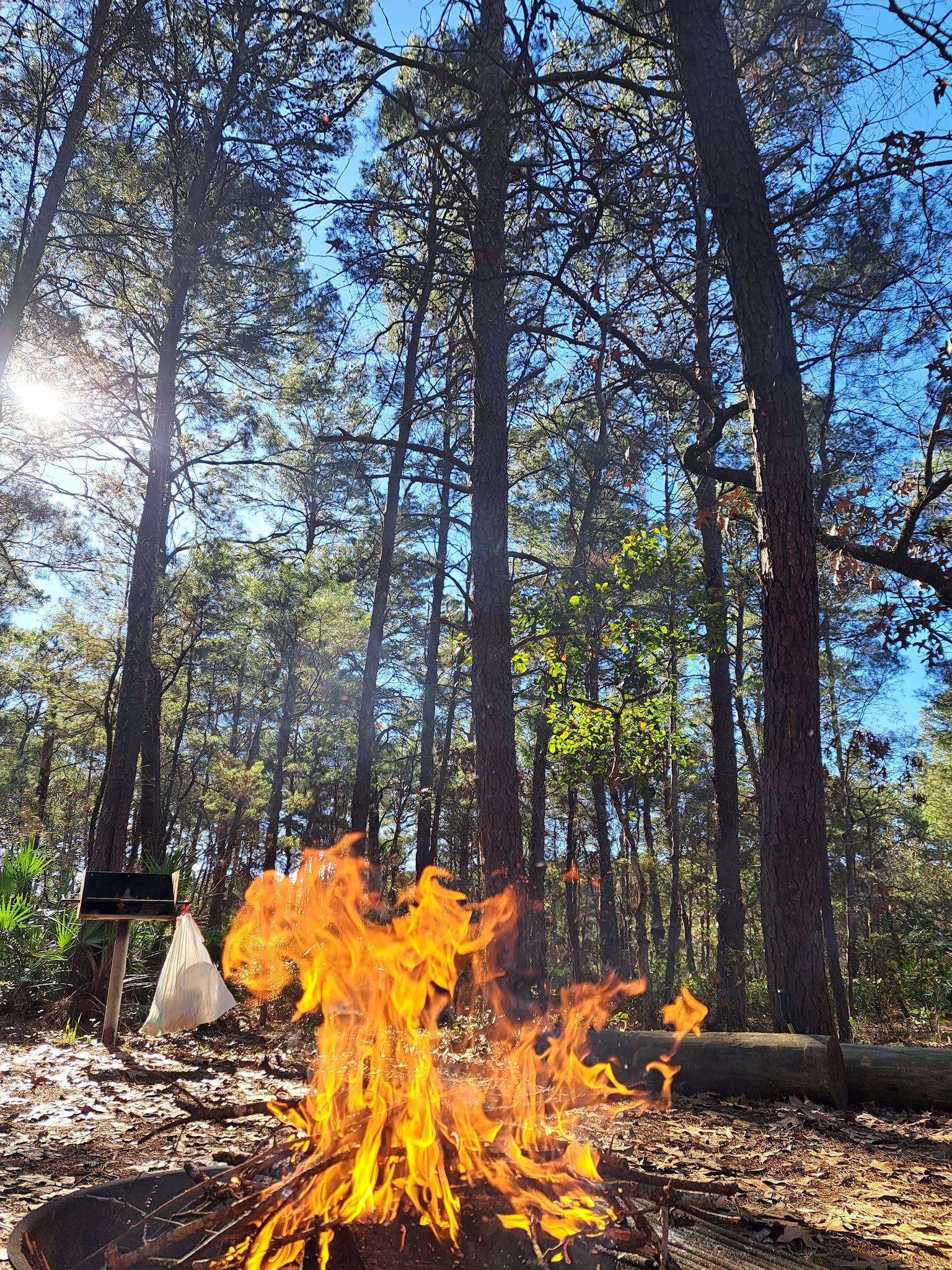 Eastern Lake Campground 1 Point Washington  State Forest