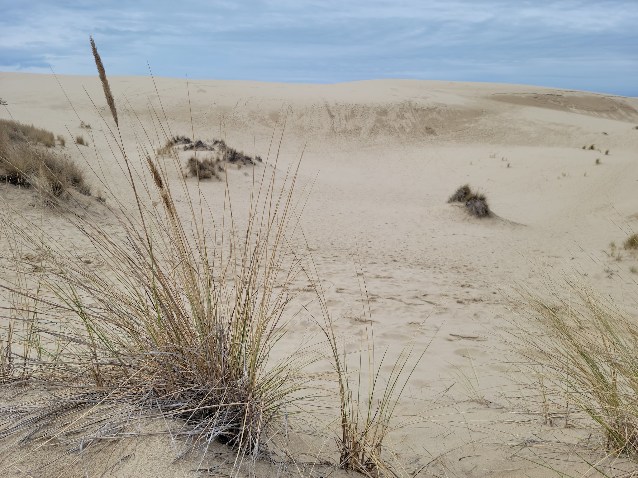 Eel Creek Campground
