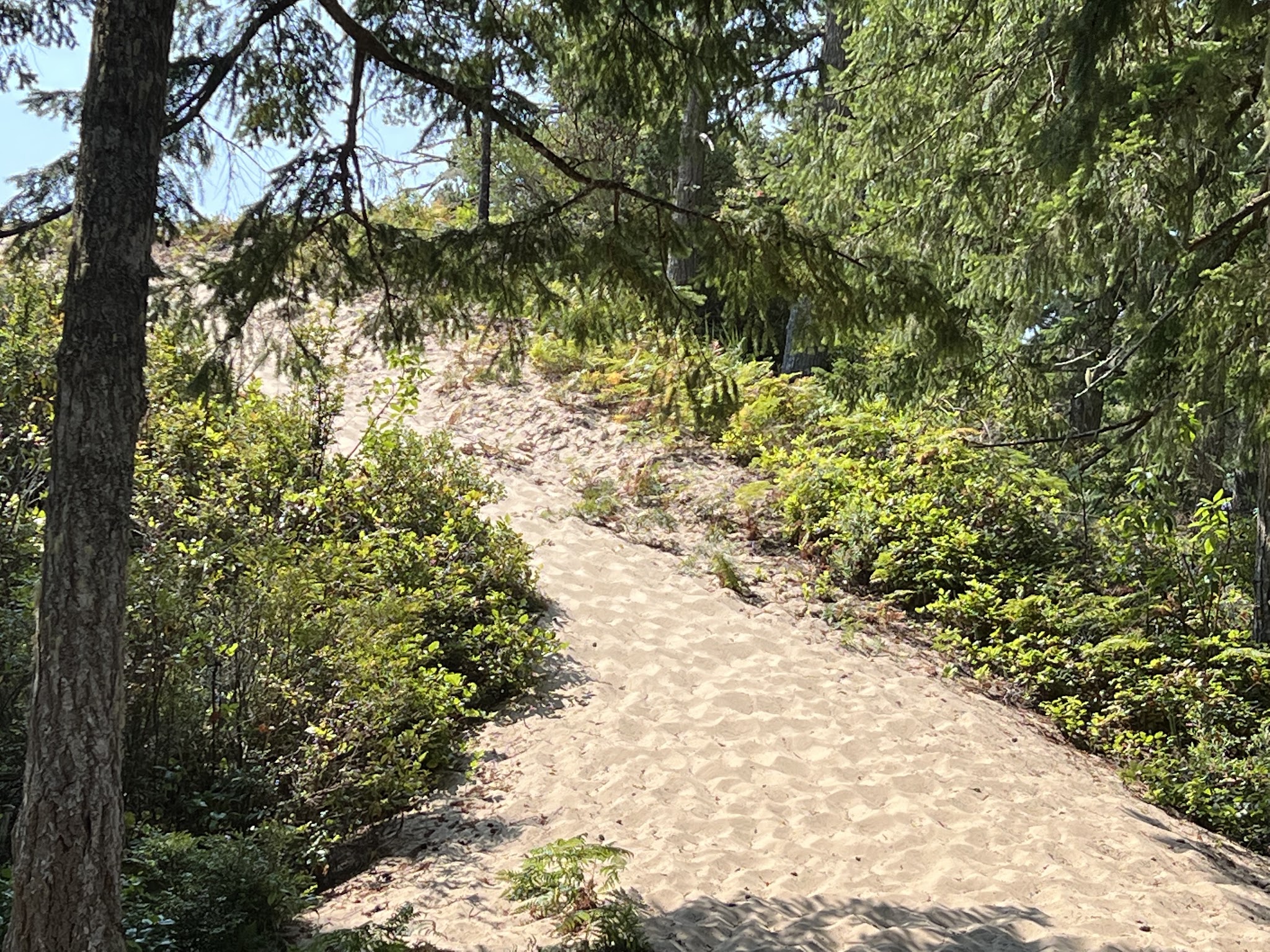 Eel Creek Campground