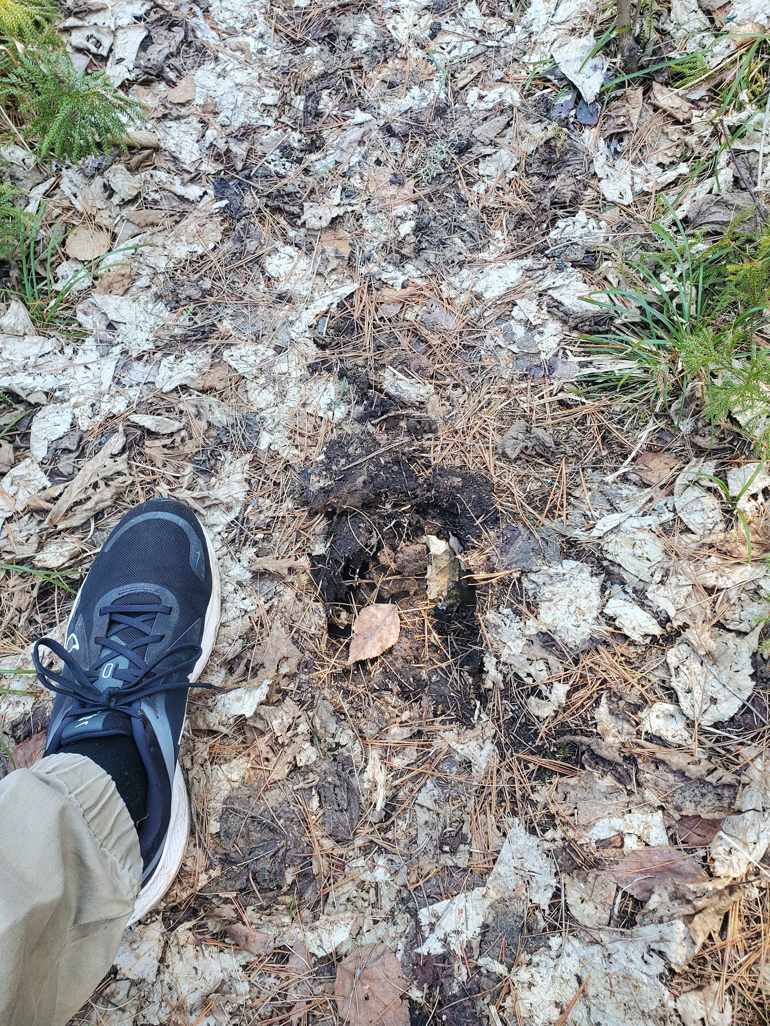 Eighteen Lake Rustic Campground