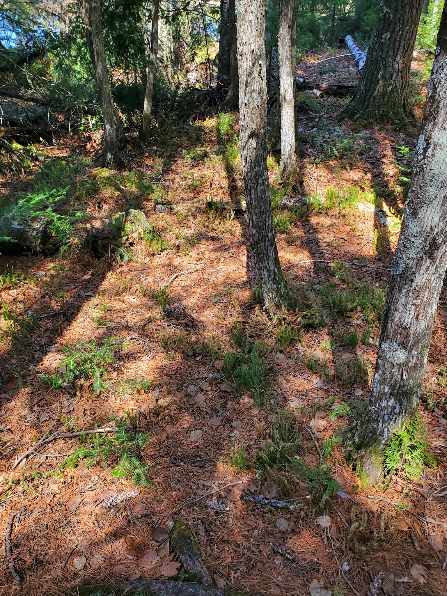 Eighteen Lake Rustic Campground