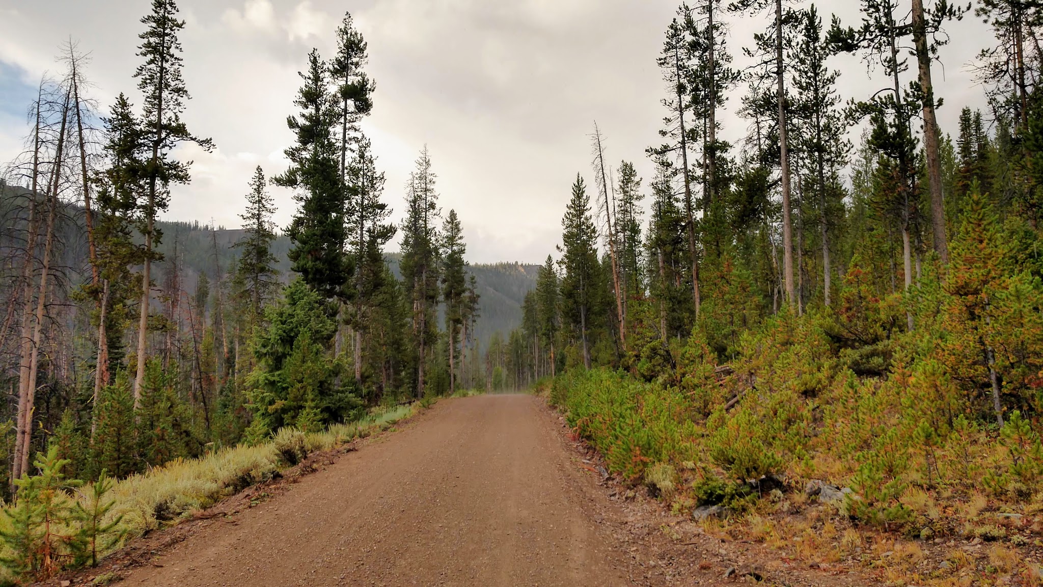 Eightmile Camping Area