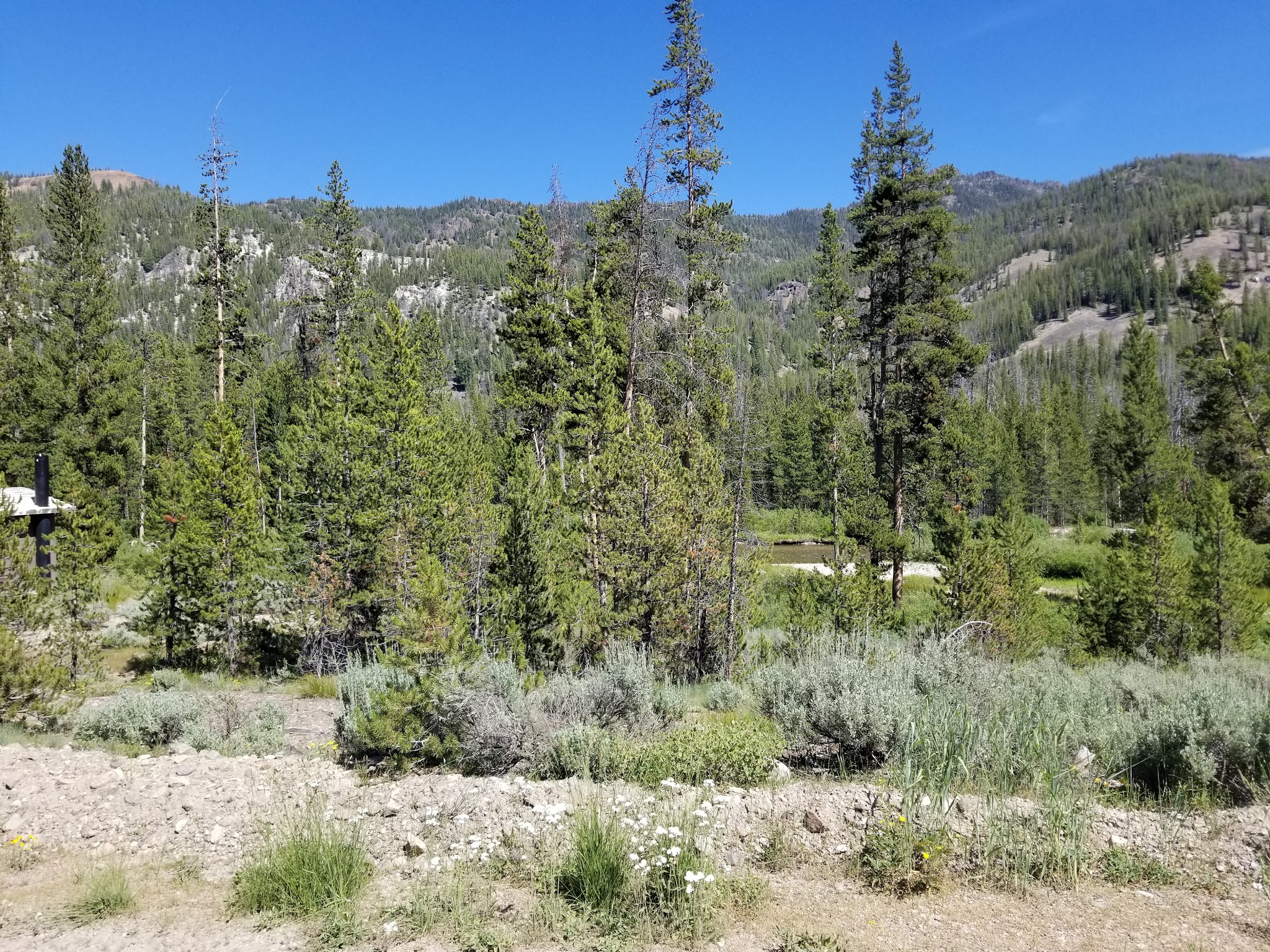 Eightmile Camping Area