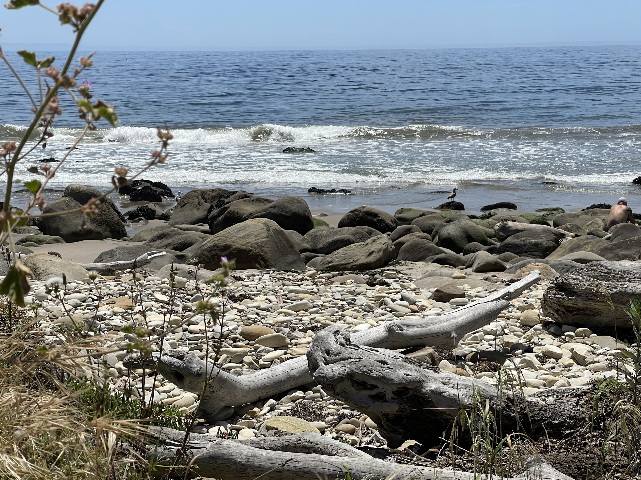 El Capitan State Beach Campground
