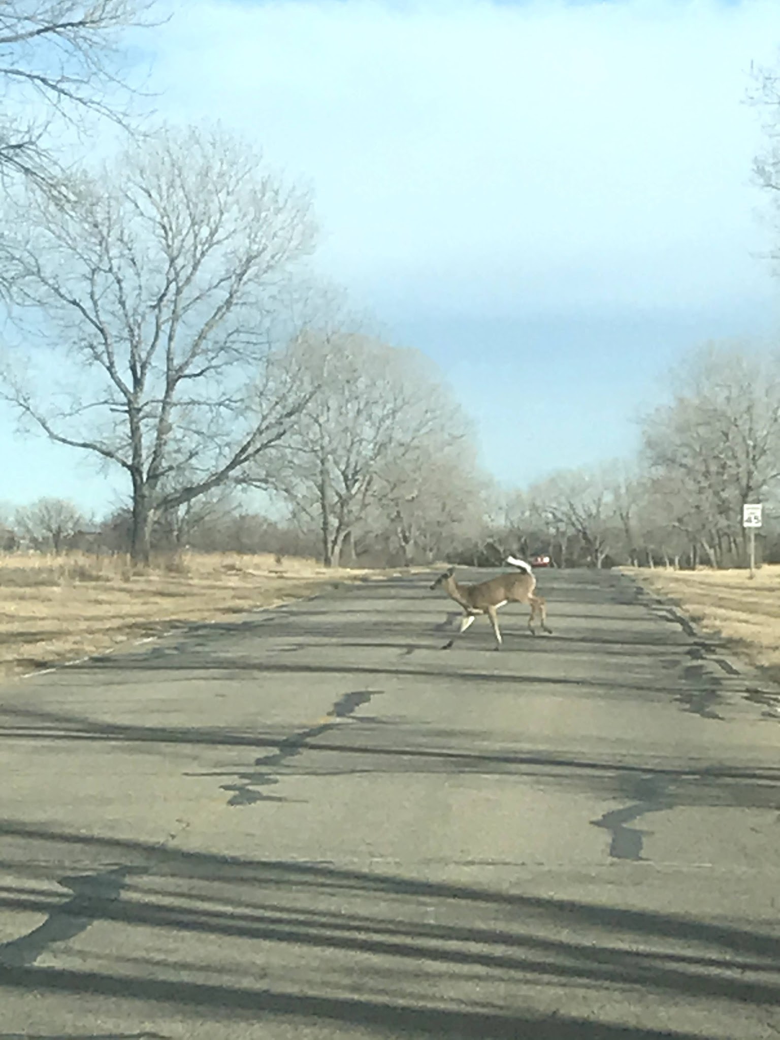 El Dorado State Park