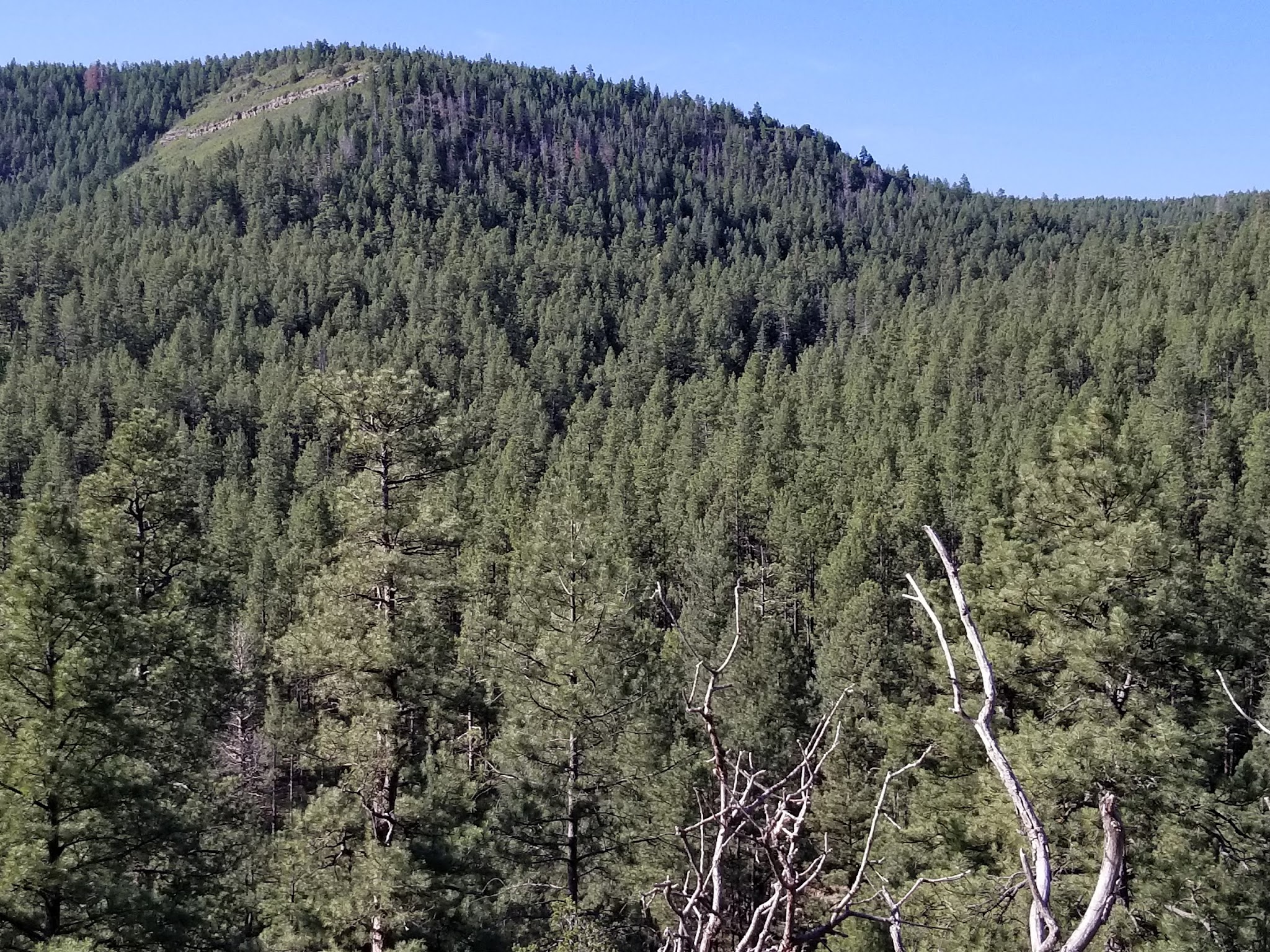 El Porvenir Campground