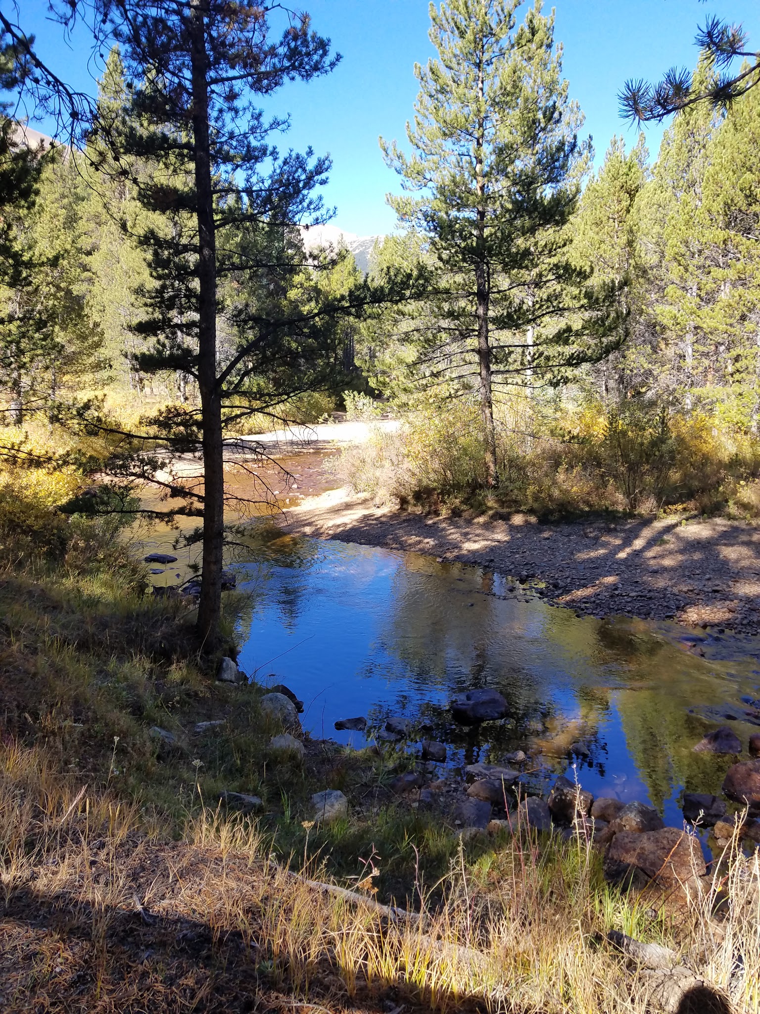 Elbert Creek