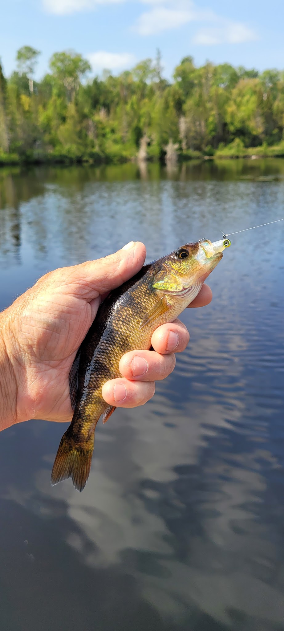 Elbow Lake (Gunflint)