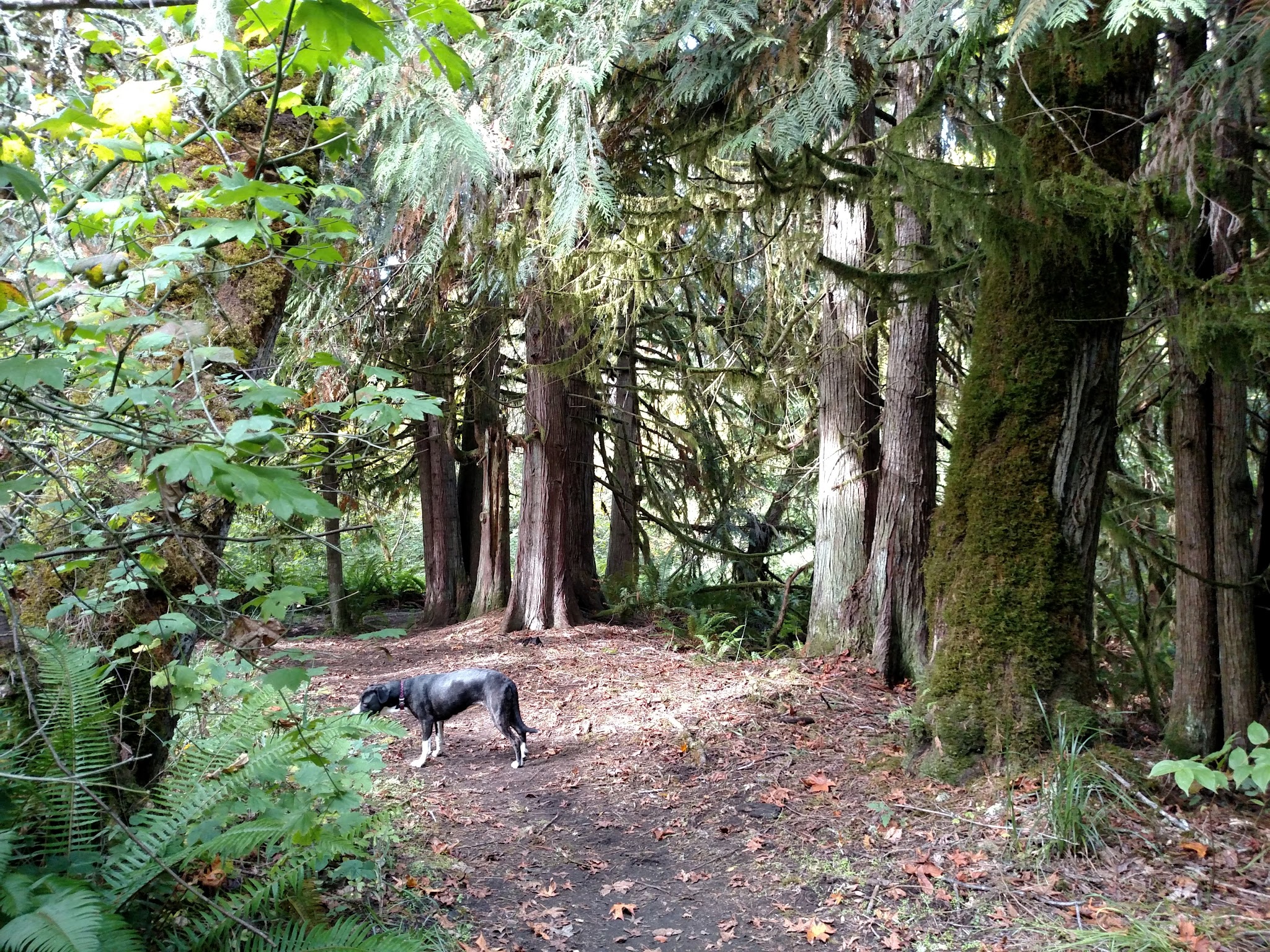 Elijah Bristow State Park