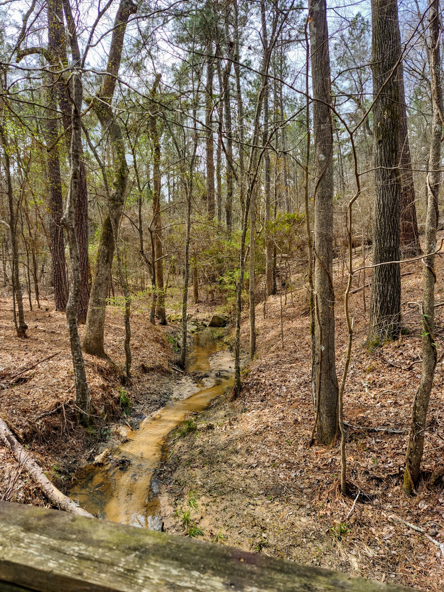 Elijah Clark State Park