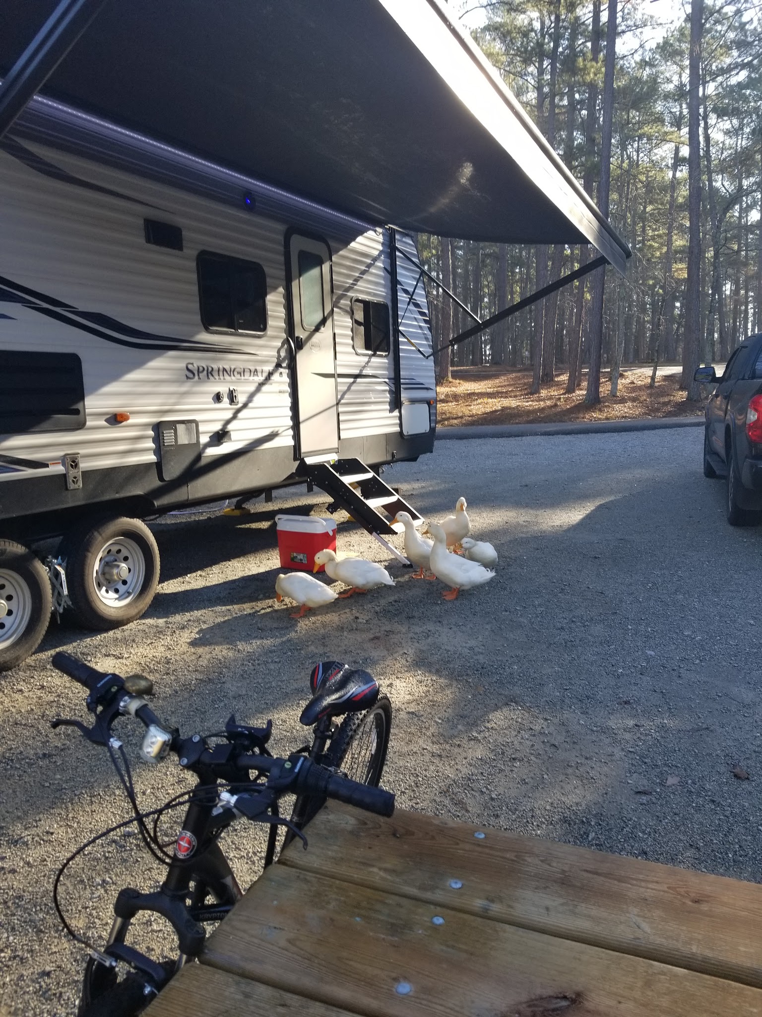 Elijah Clark State Park