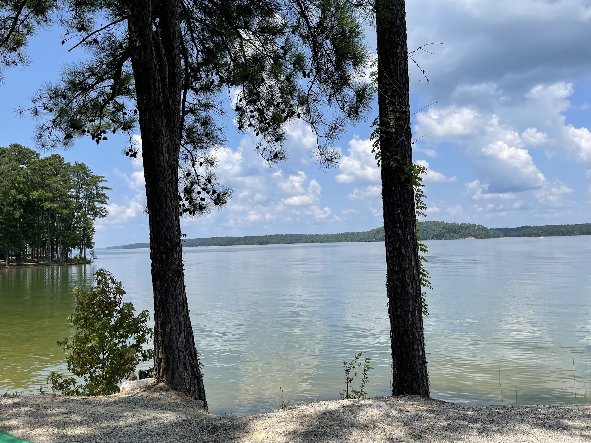 Elijah Clark State Park