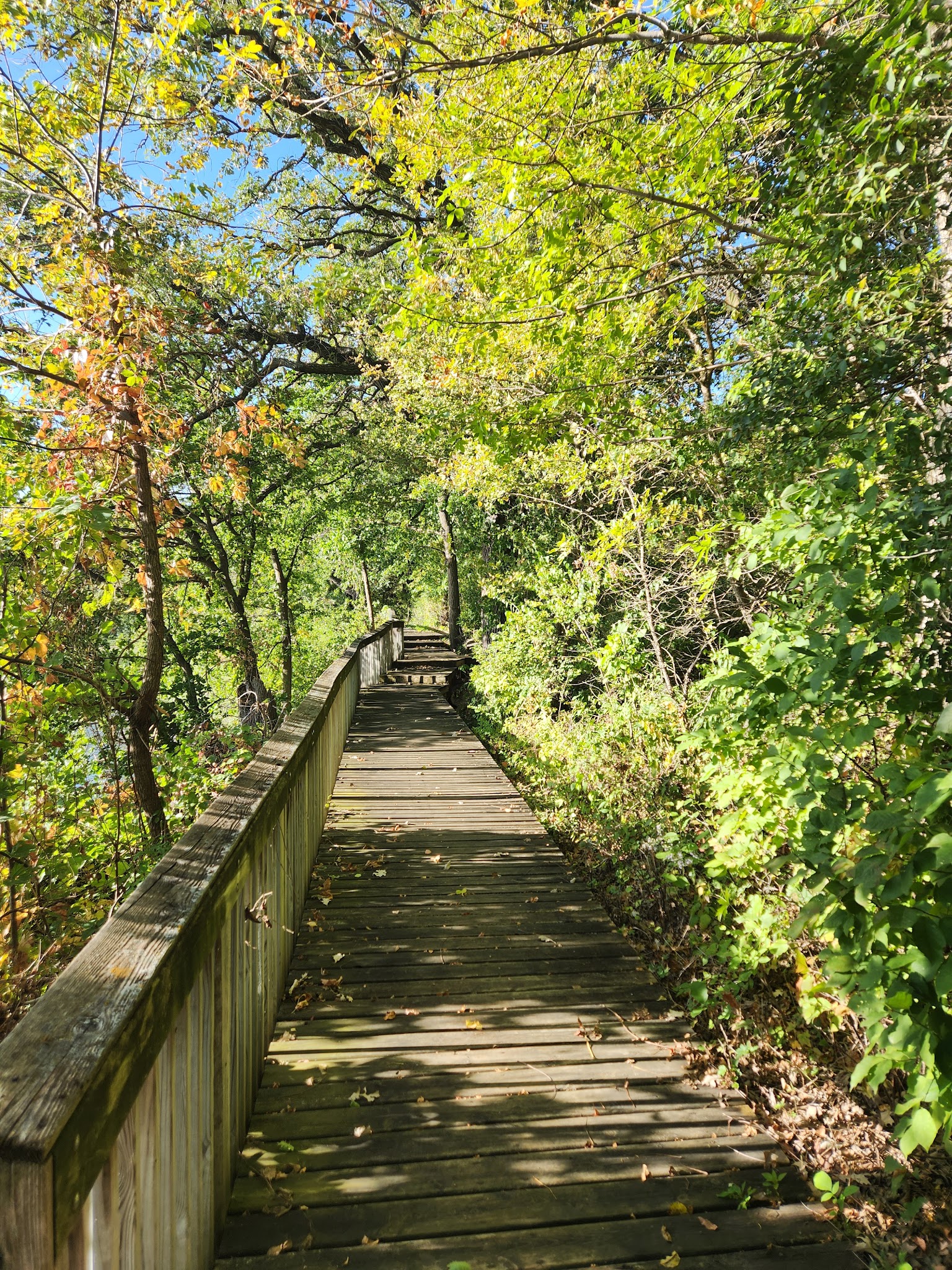 Elinor Bedell State Park