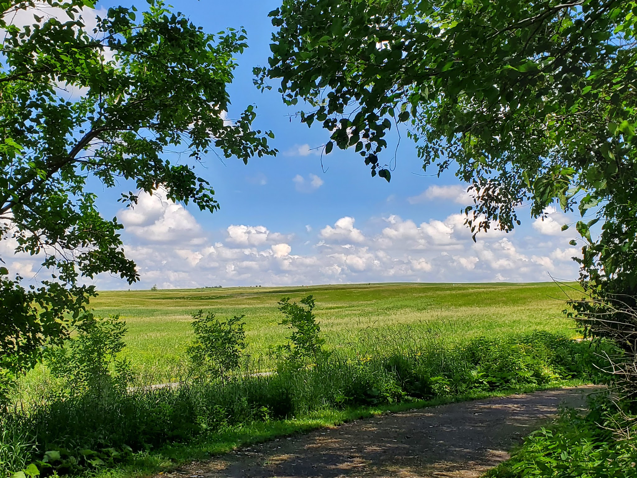 Elinor Bedell State Park