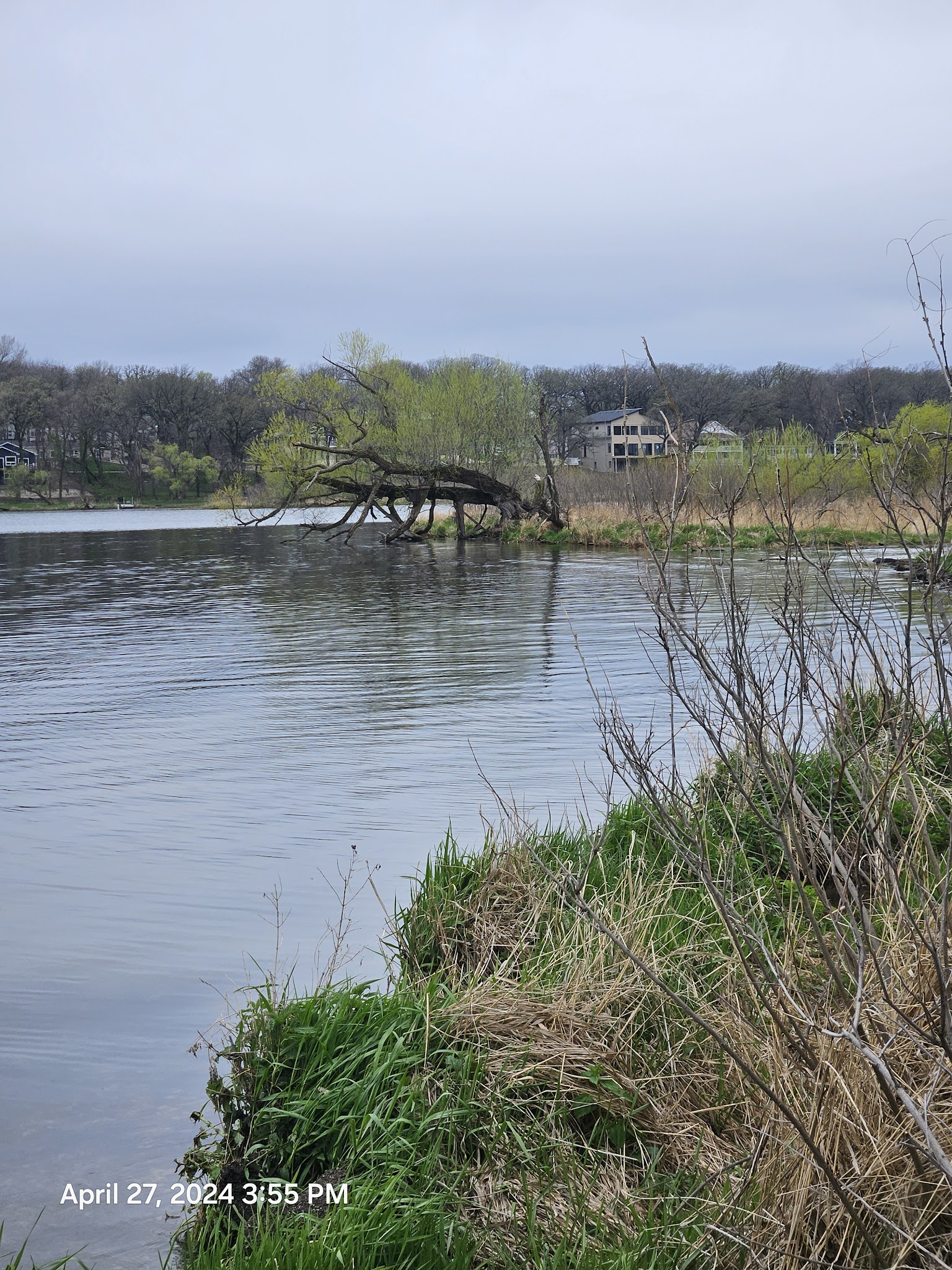 Elinor Bedell State Park
