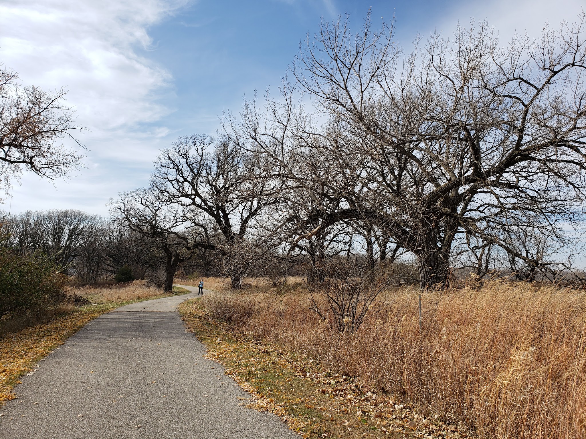 Elinor Bedell State Park