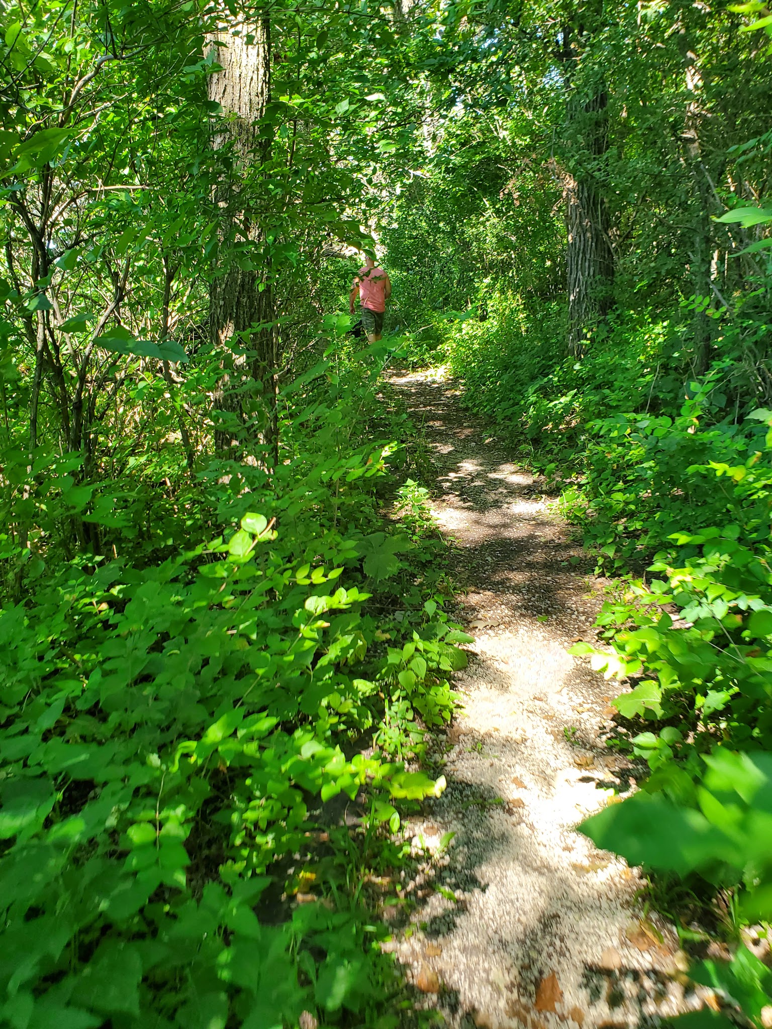 Elinor Bedell State Park