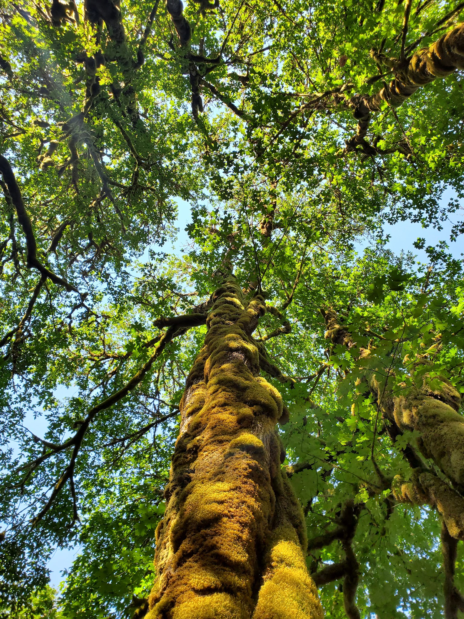 Elk Bend Recreation Site