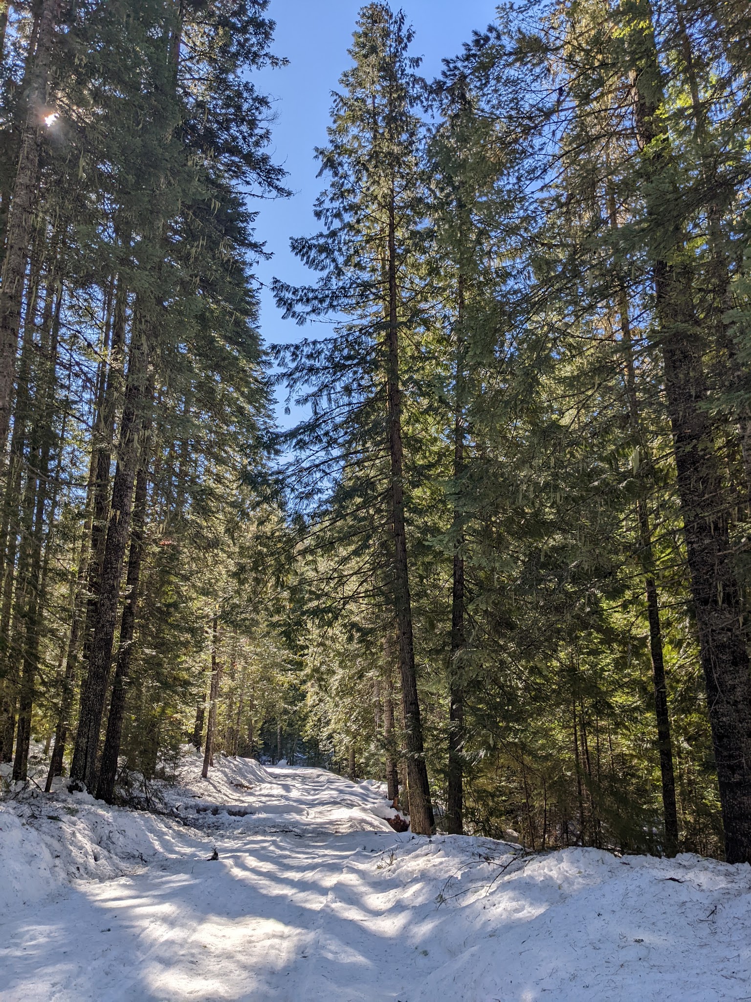 Elk Creek Campground (Clearwater Nf)