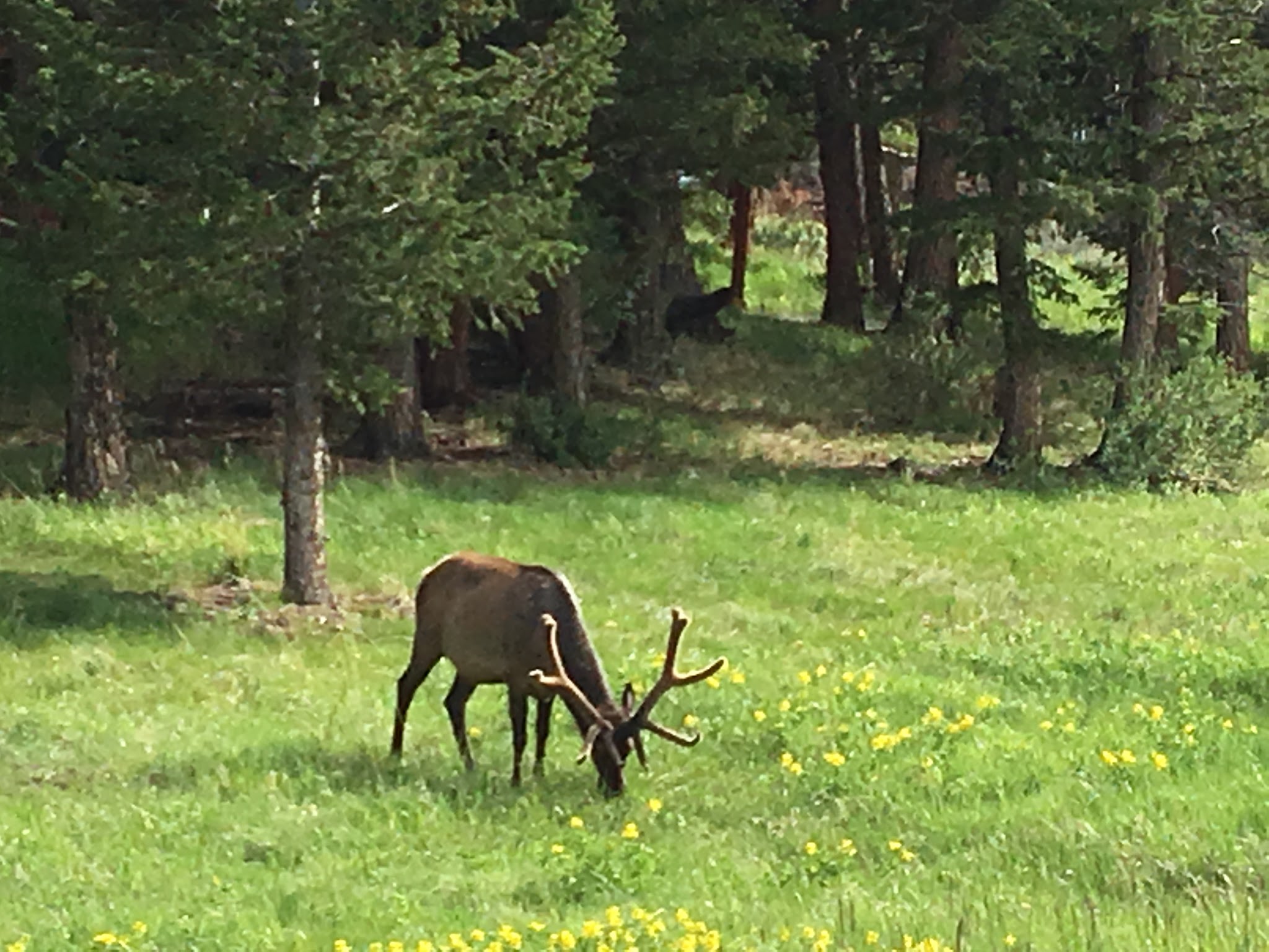 Estes Park Campground At East Portal