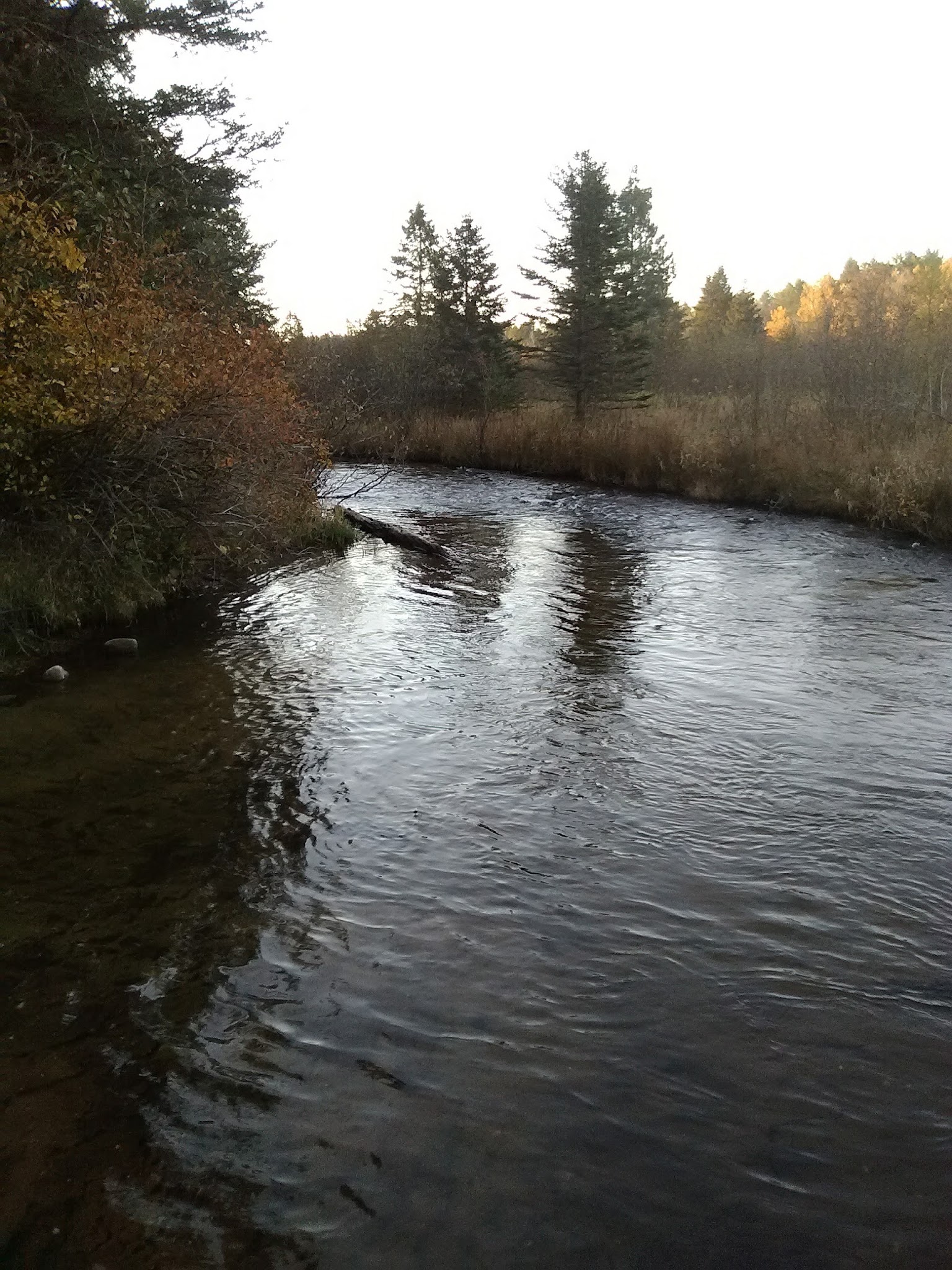 Elk Hill Equestrian River Trail Campground