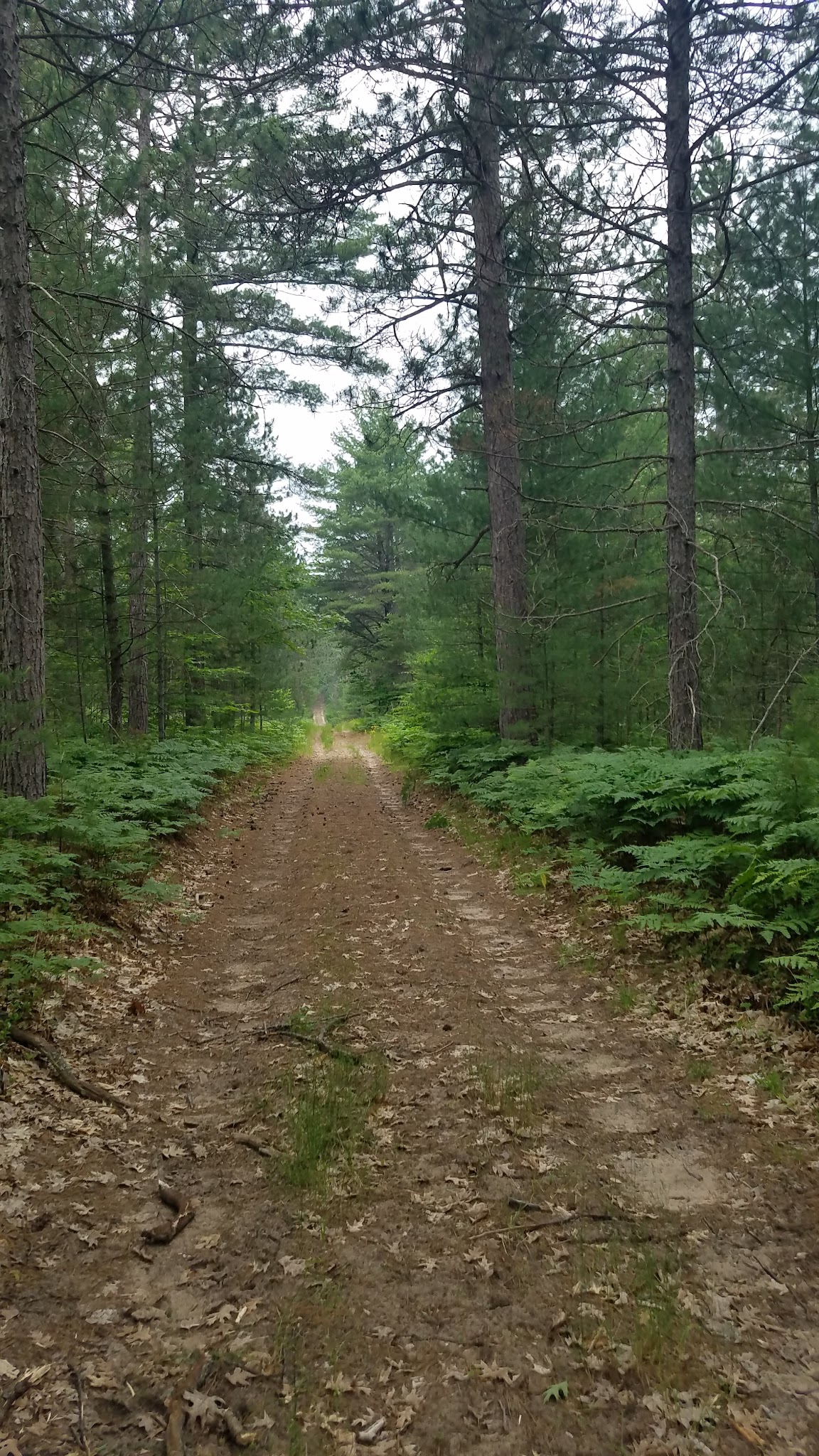 Elk Hill Equestrian River Trail Campground