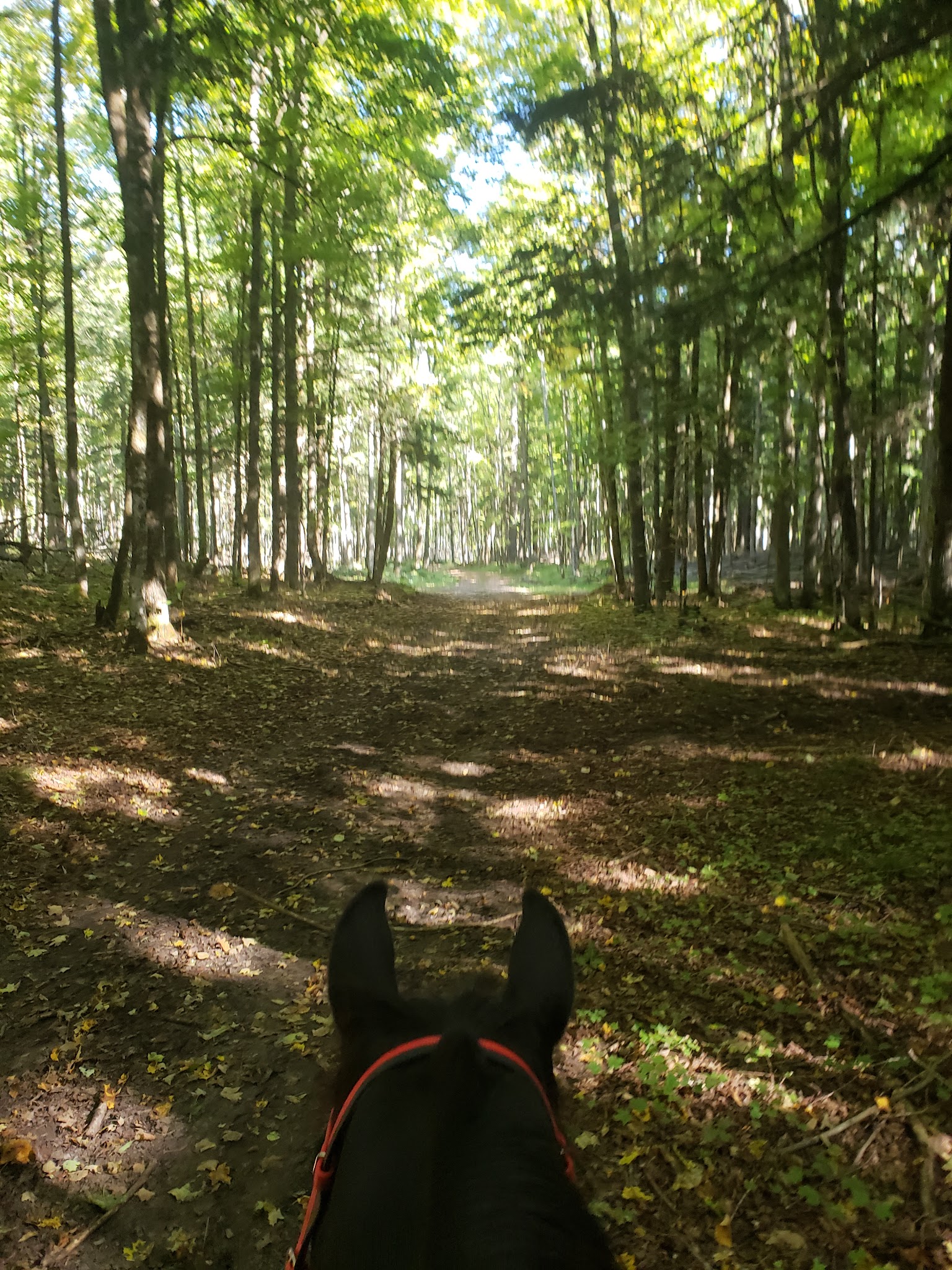 Elk Hill Equestrian River Trail Campground