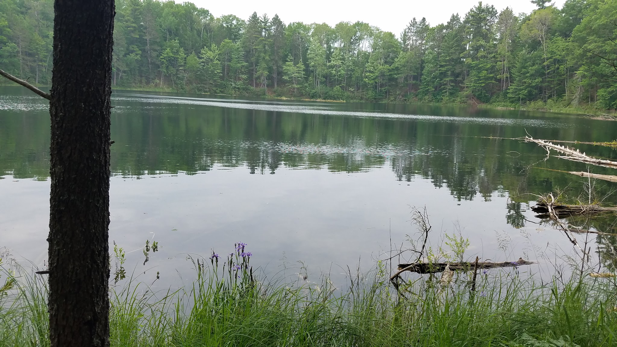 Elk Hill Equestrian River Trail Campground