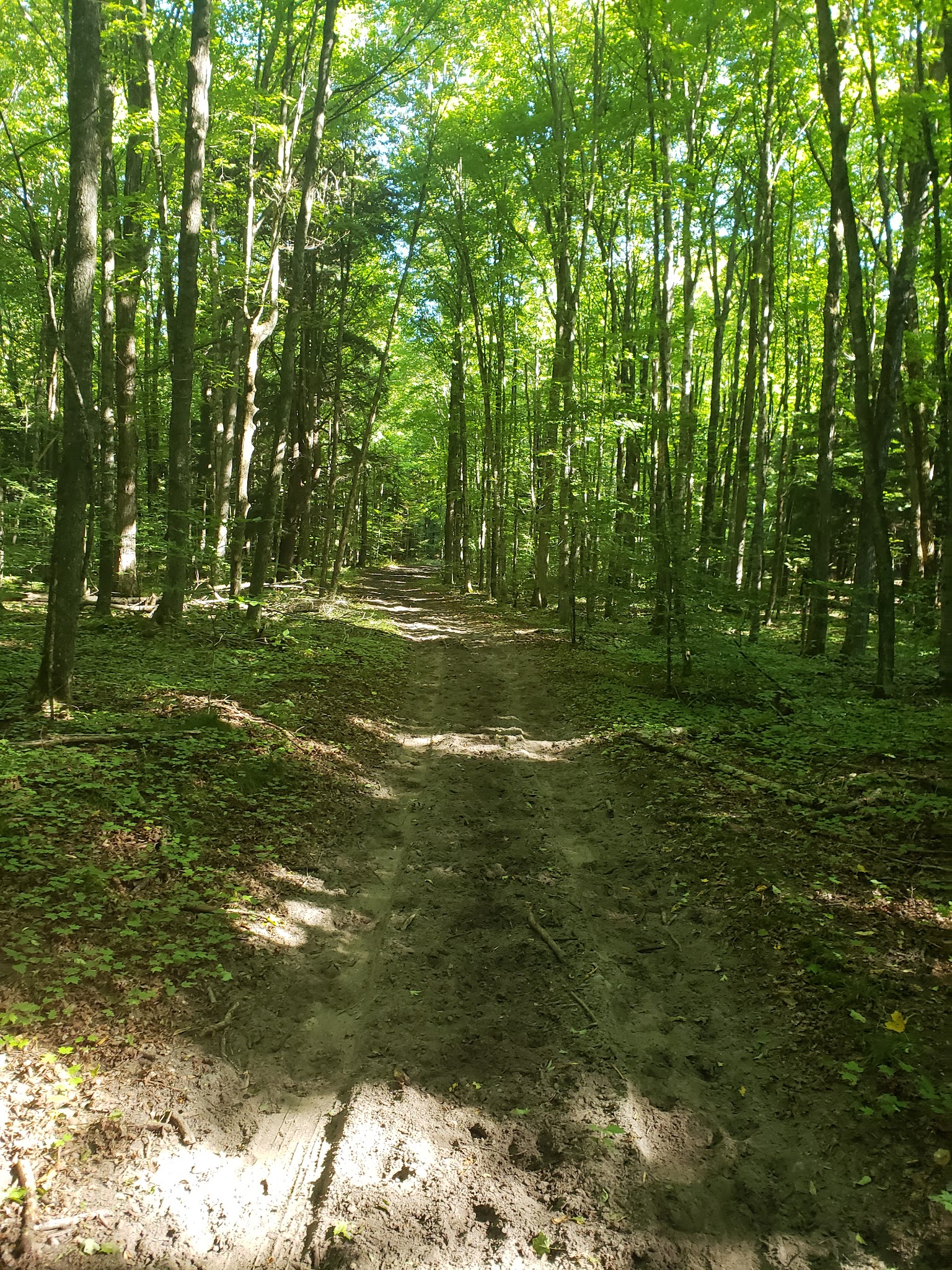 Elk Hill Equestrian River Trail Campground