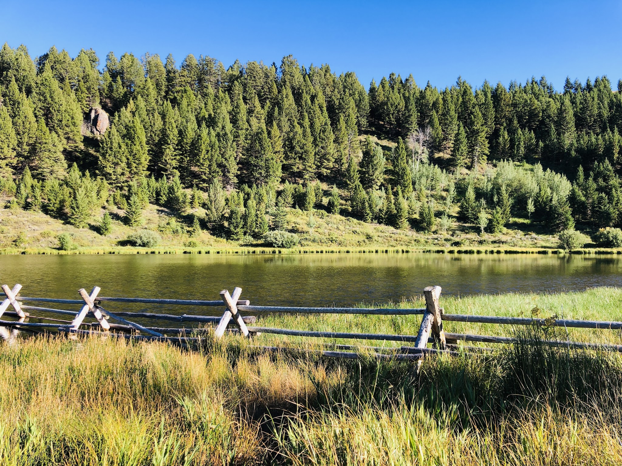 Elk Lake Dispersed Camping And Picnic Area