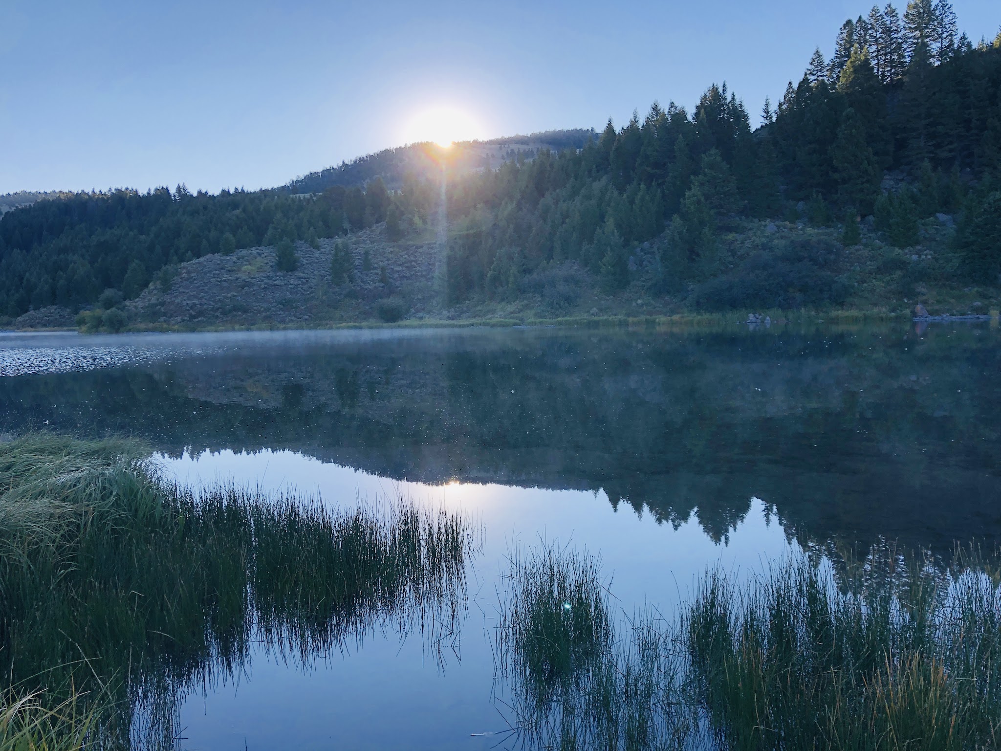 Elk Lake Dispersed Camping And Picnic Area