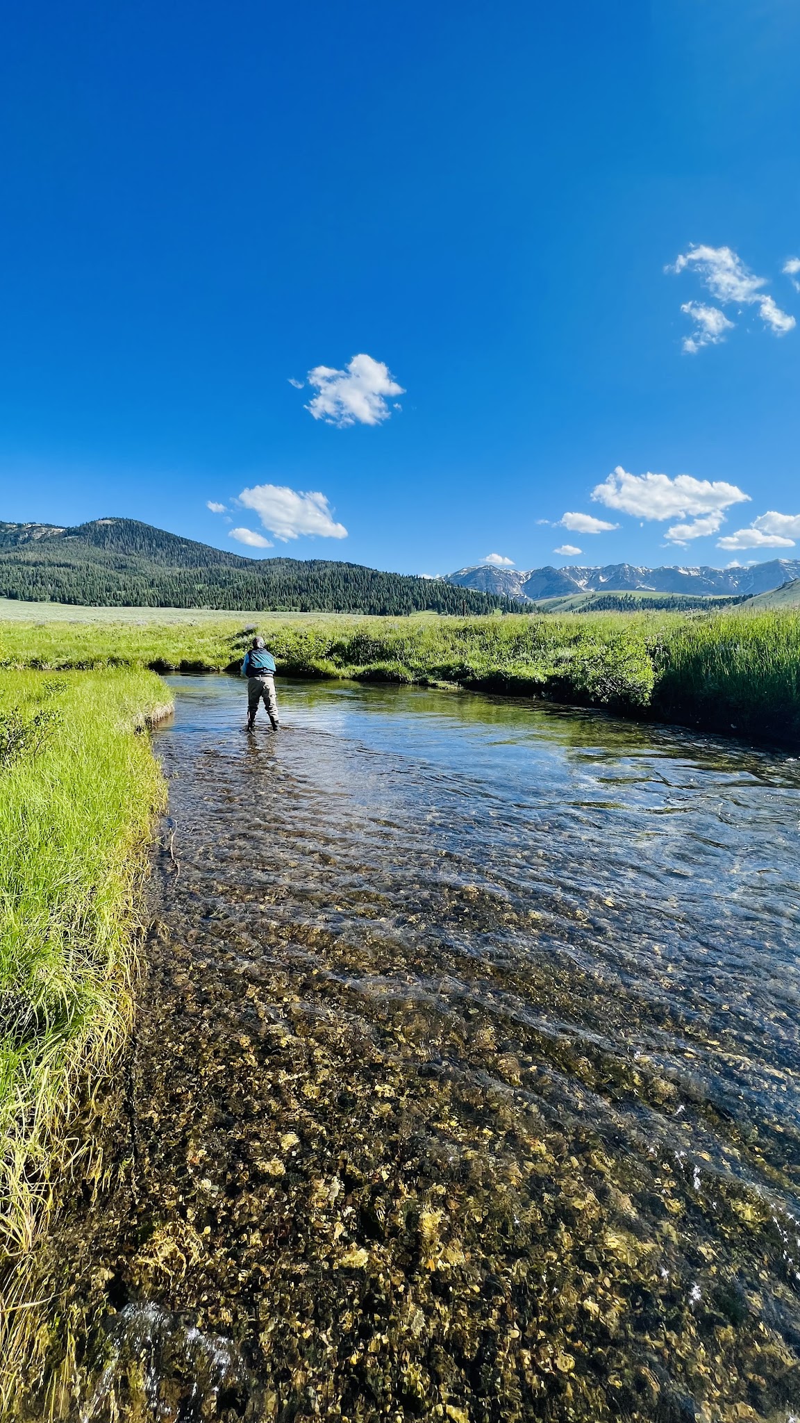 Elk Lake Dispersed Camping And Picnic Area