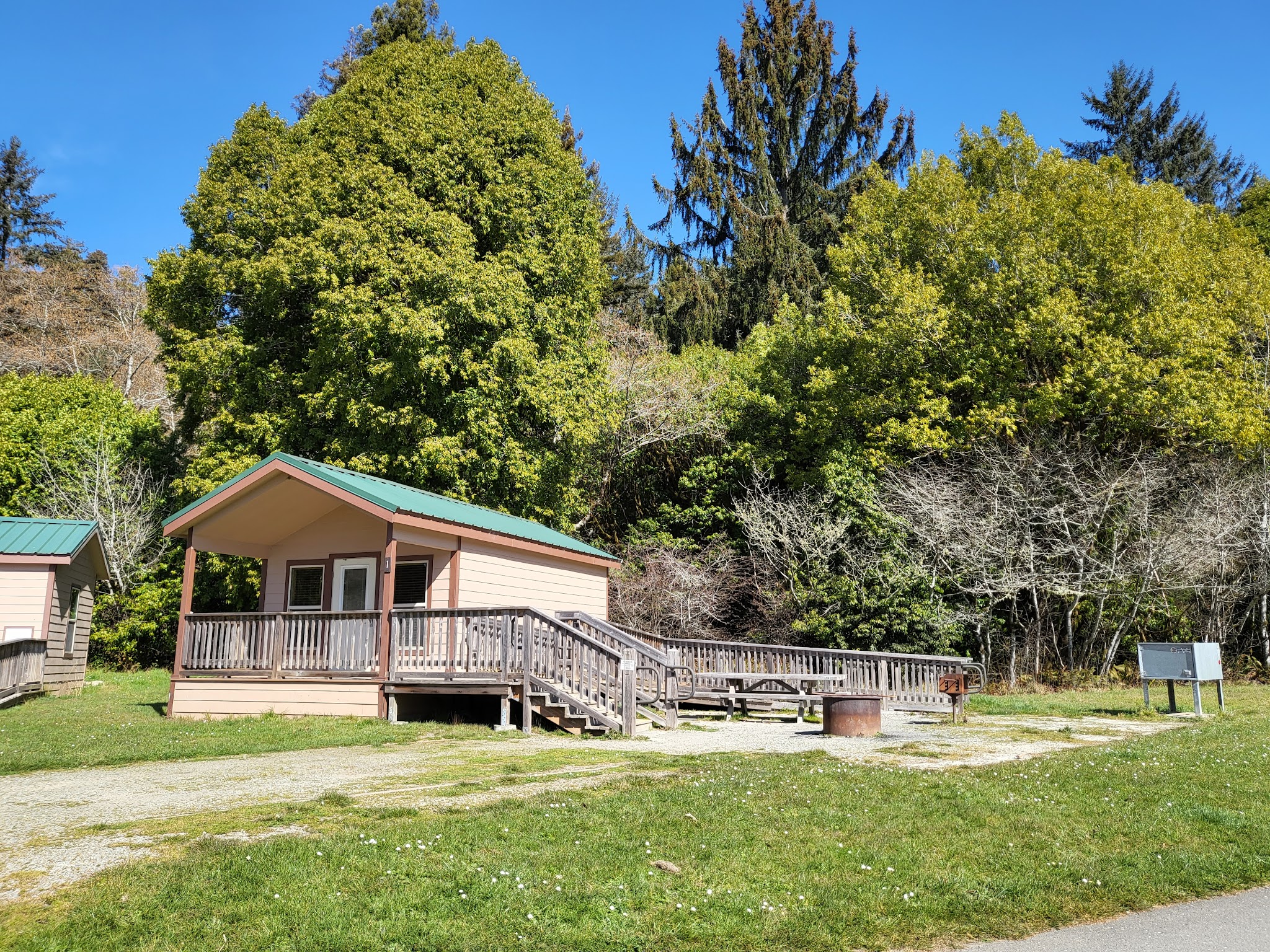 Prairie Creek Redwoods State Park Elk Prairie Campground