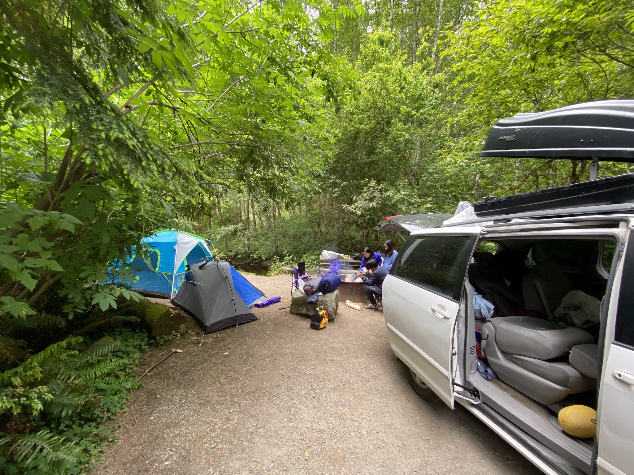 Prairie Creek Redwoods State Park Elk Prairie Campground